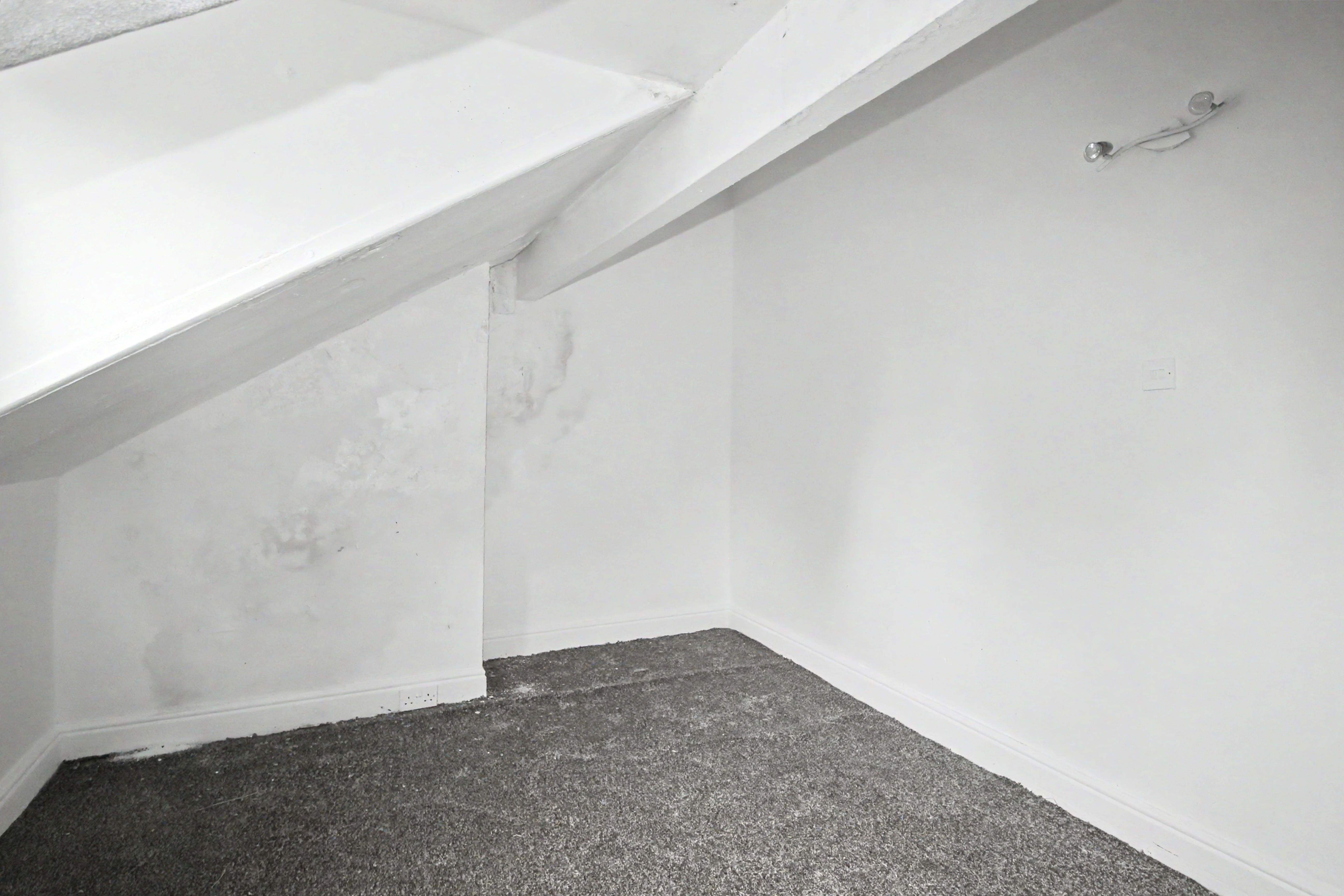Image 12 of 16