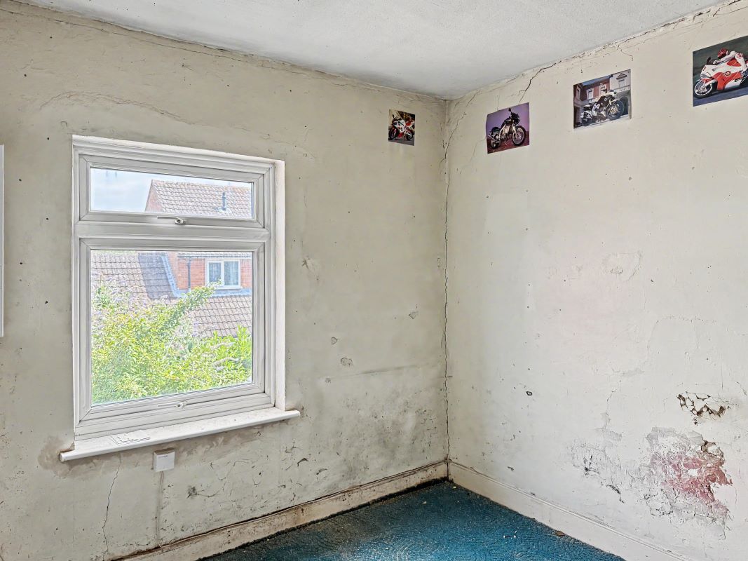 Image 11 of 22