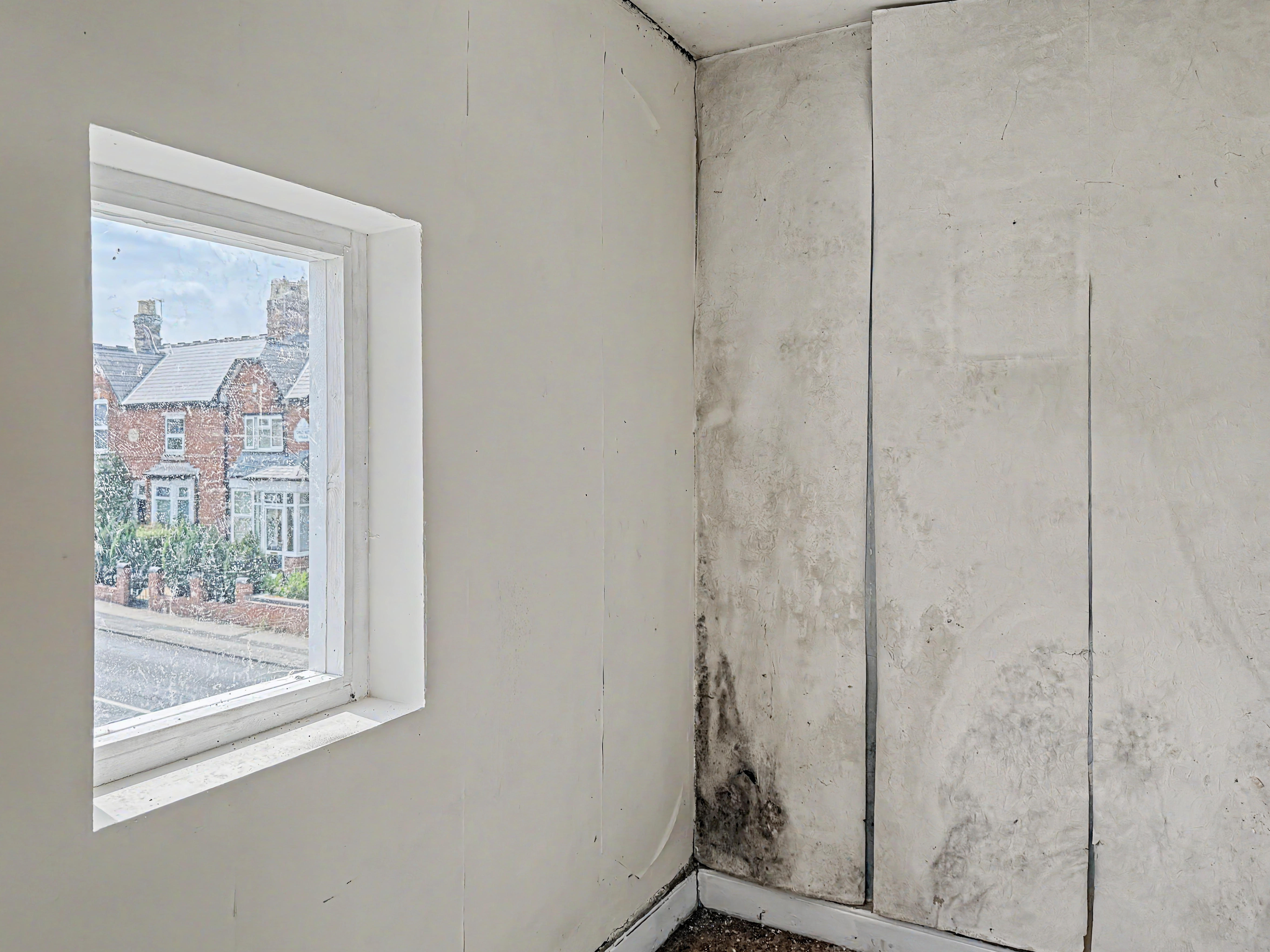 Image 15 of 22
