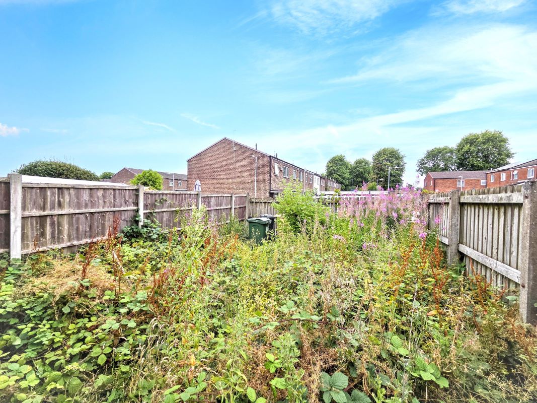 Image 17 of 18