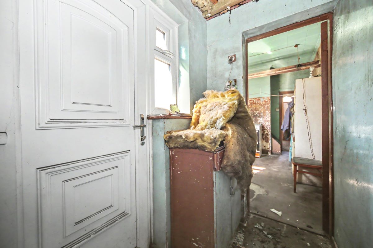 Image 17 of 21