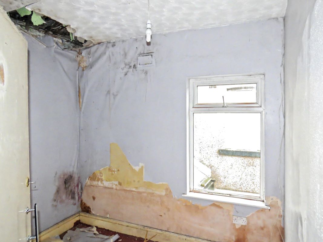 Image 15 of 24