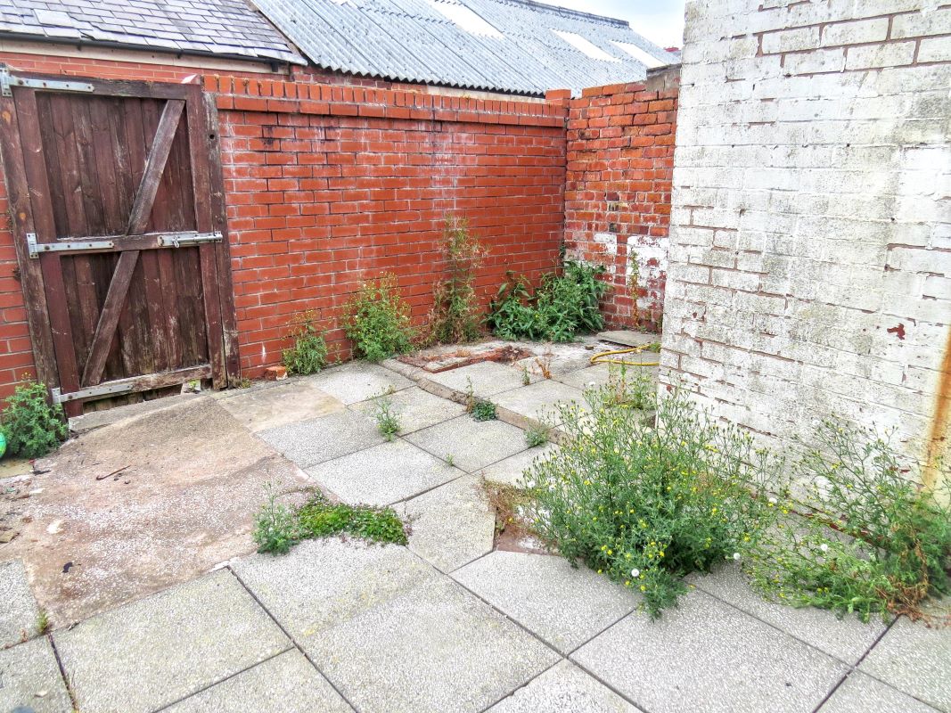 Image 22 of 24