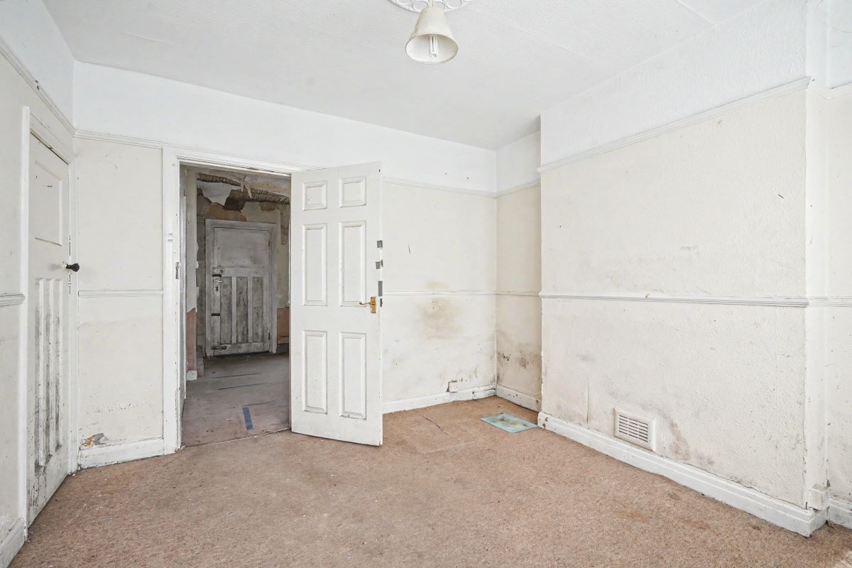 Image 3 of 19