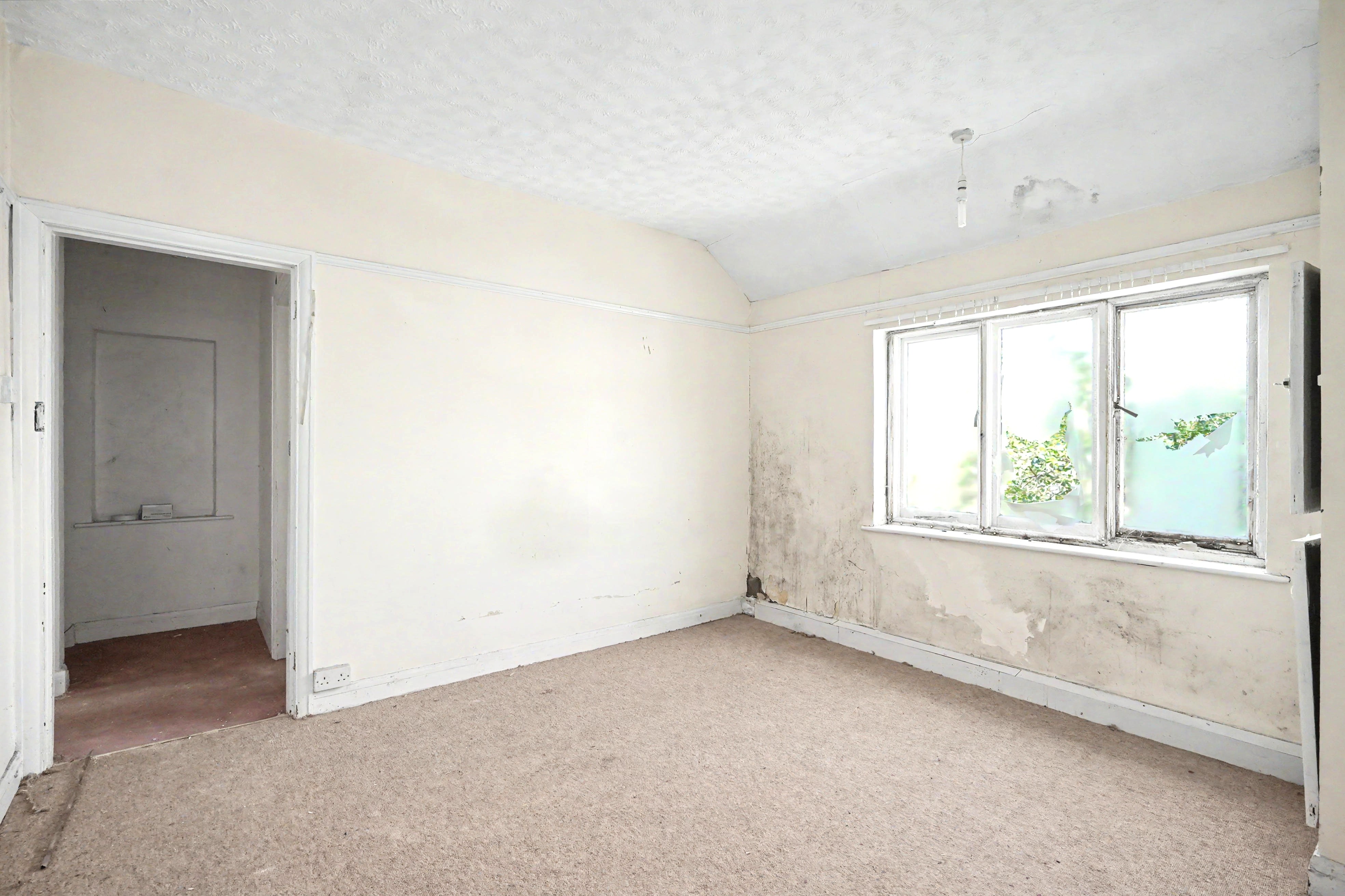 Image 10 of 19