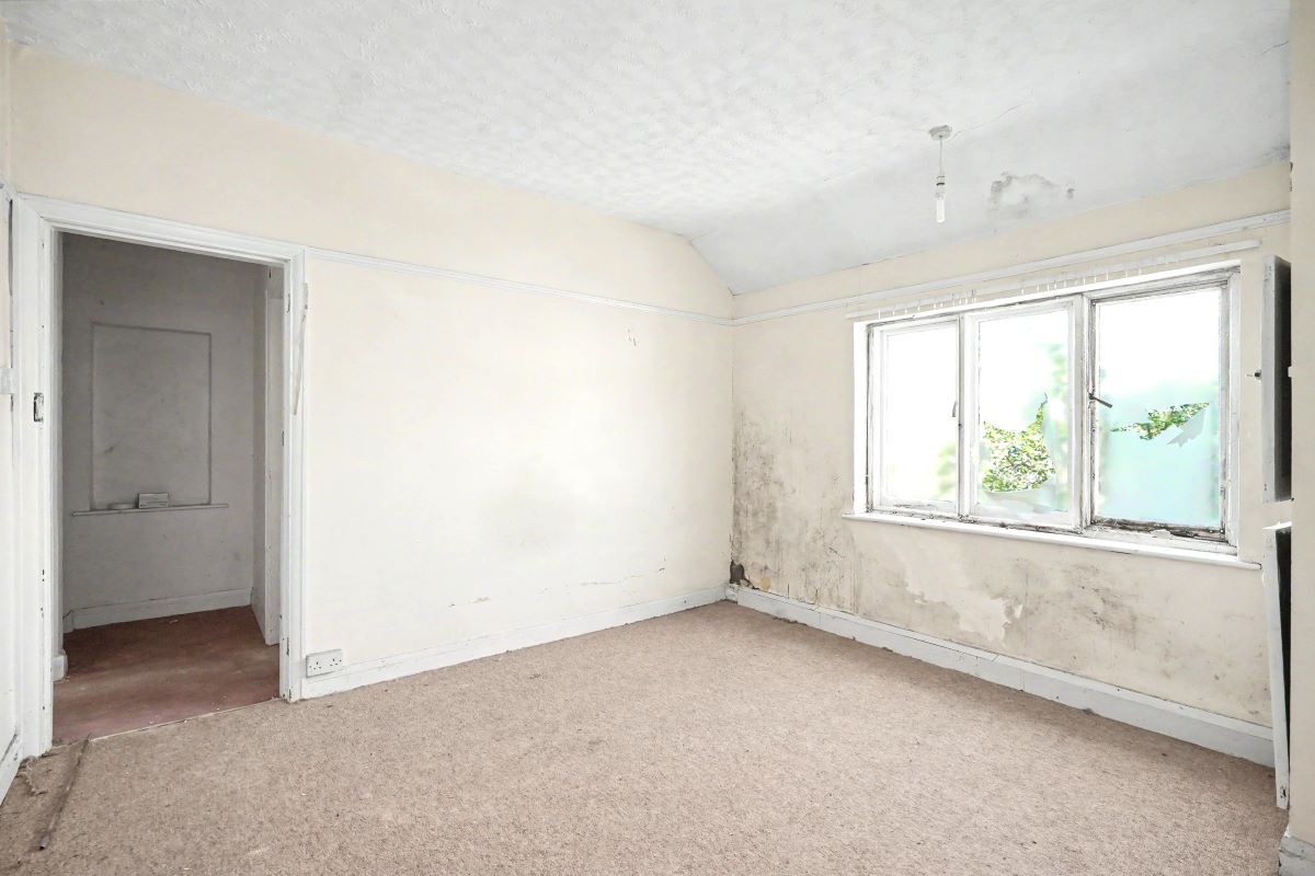 Image 10 of 19