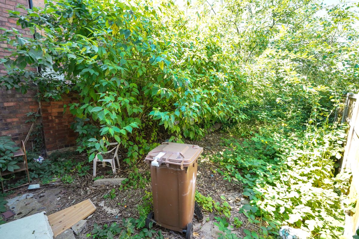 Image 18 of 19