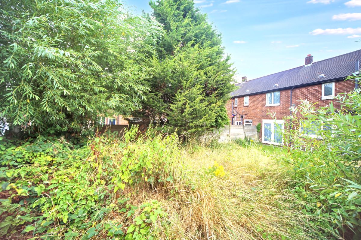 Image 17 of 20