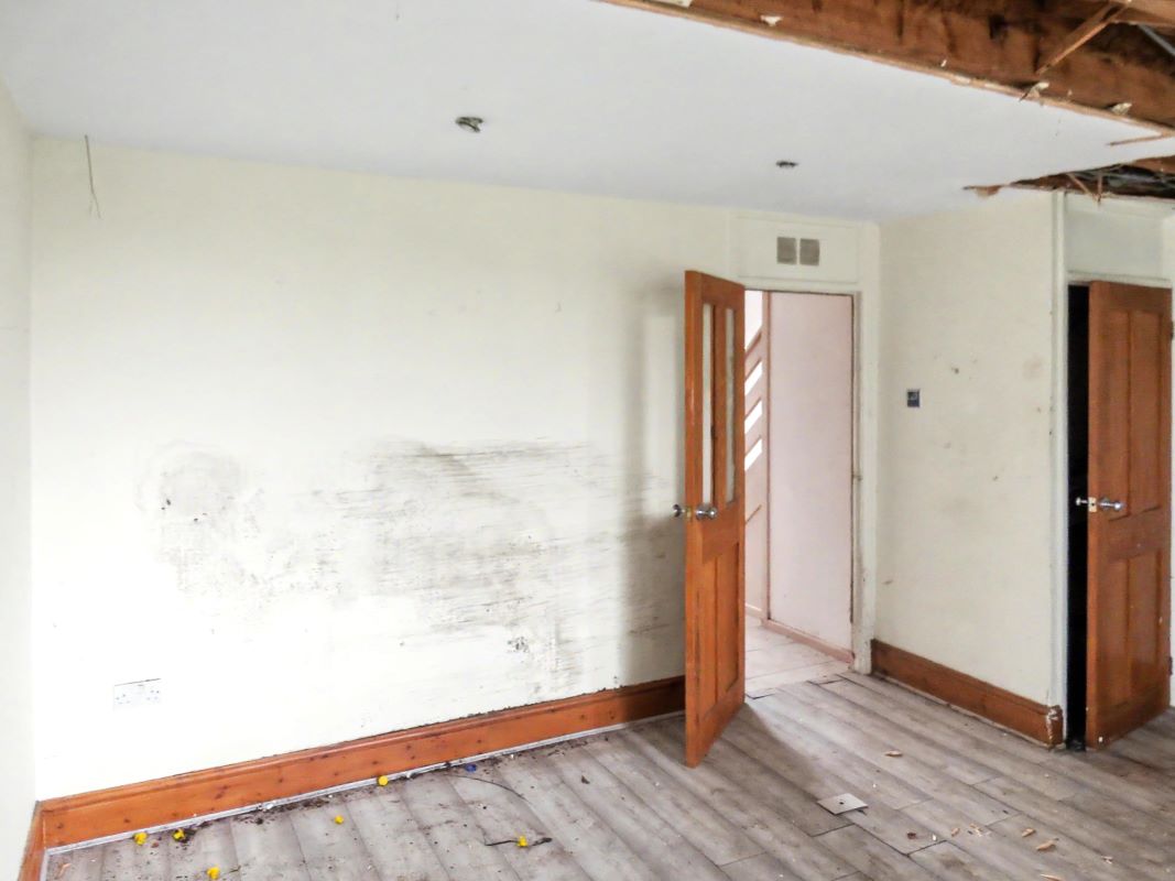 Image 4 of 17
