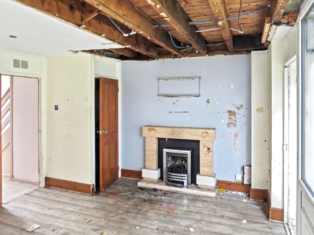 Image 3 of 17