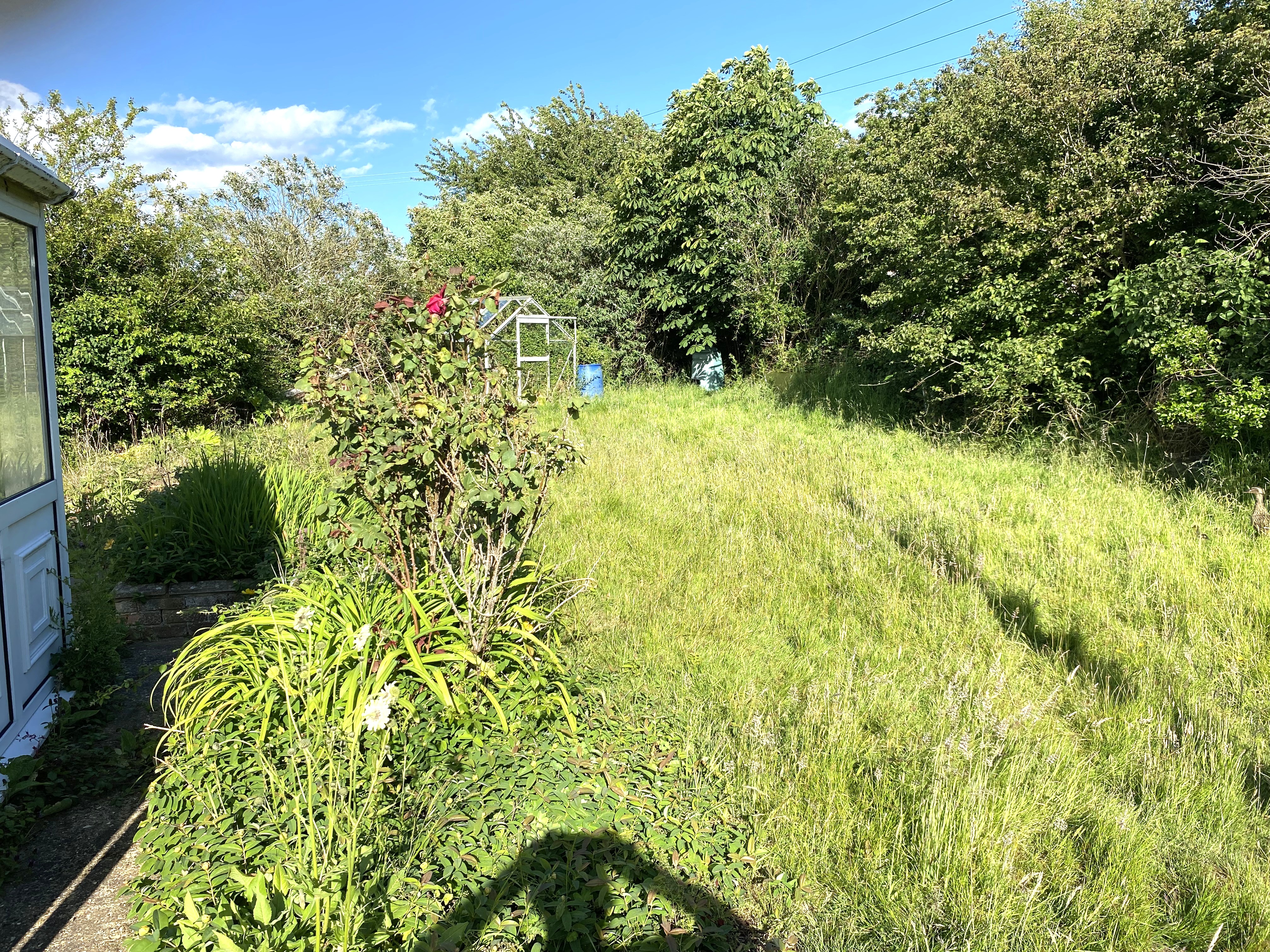 Image 8 of 9