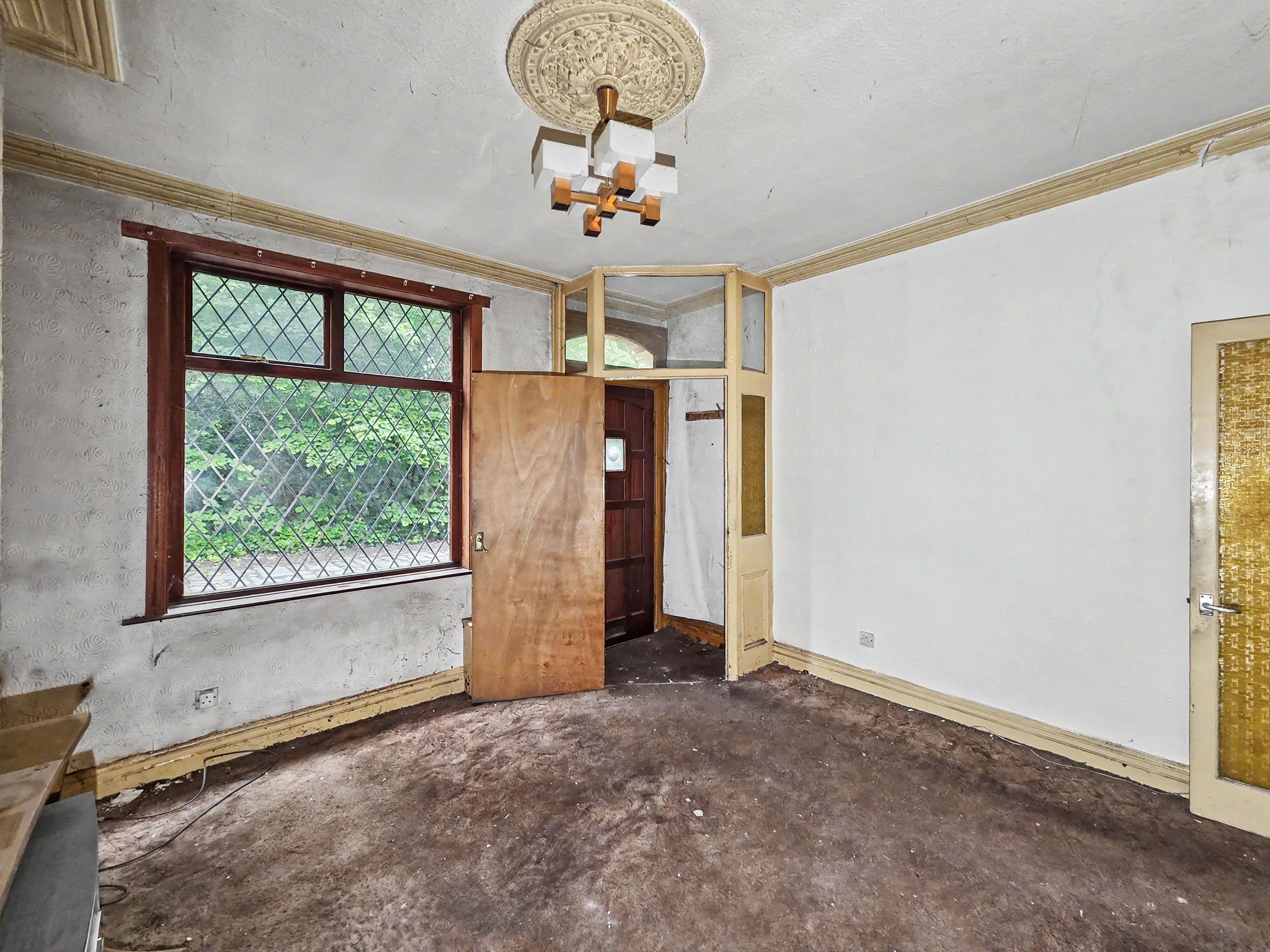 Image 2 of 20