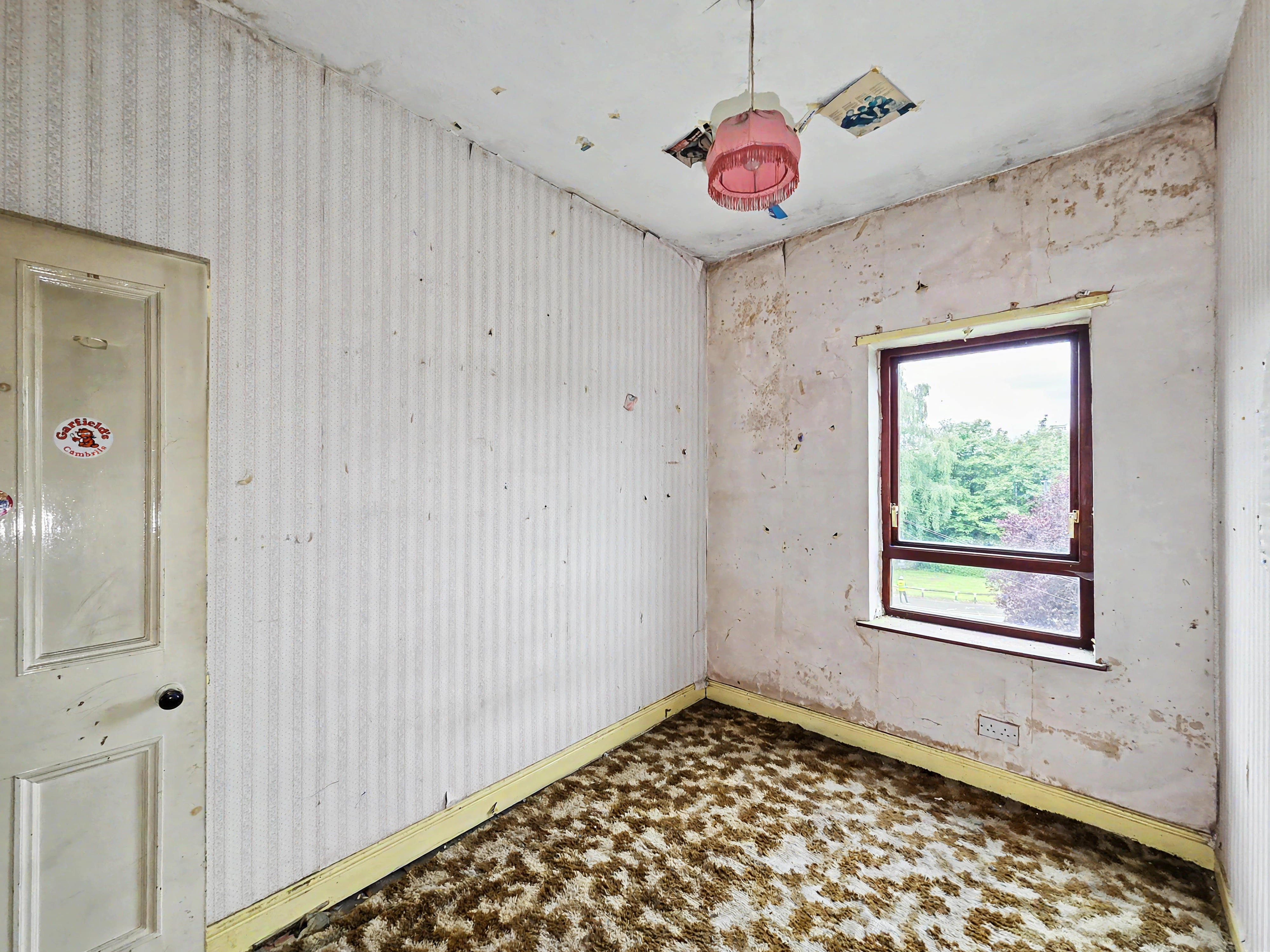 Image 11 of 20