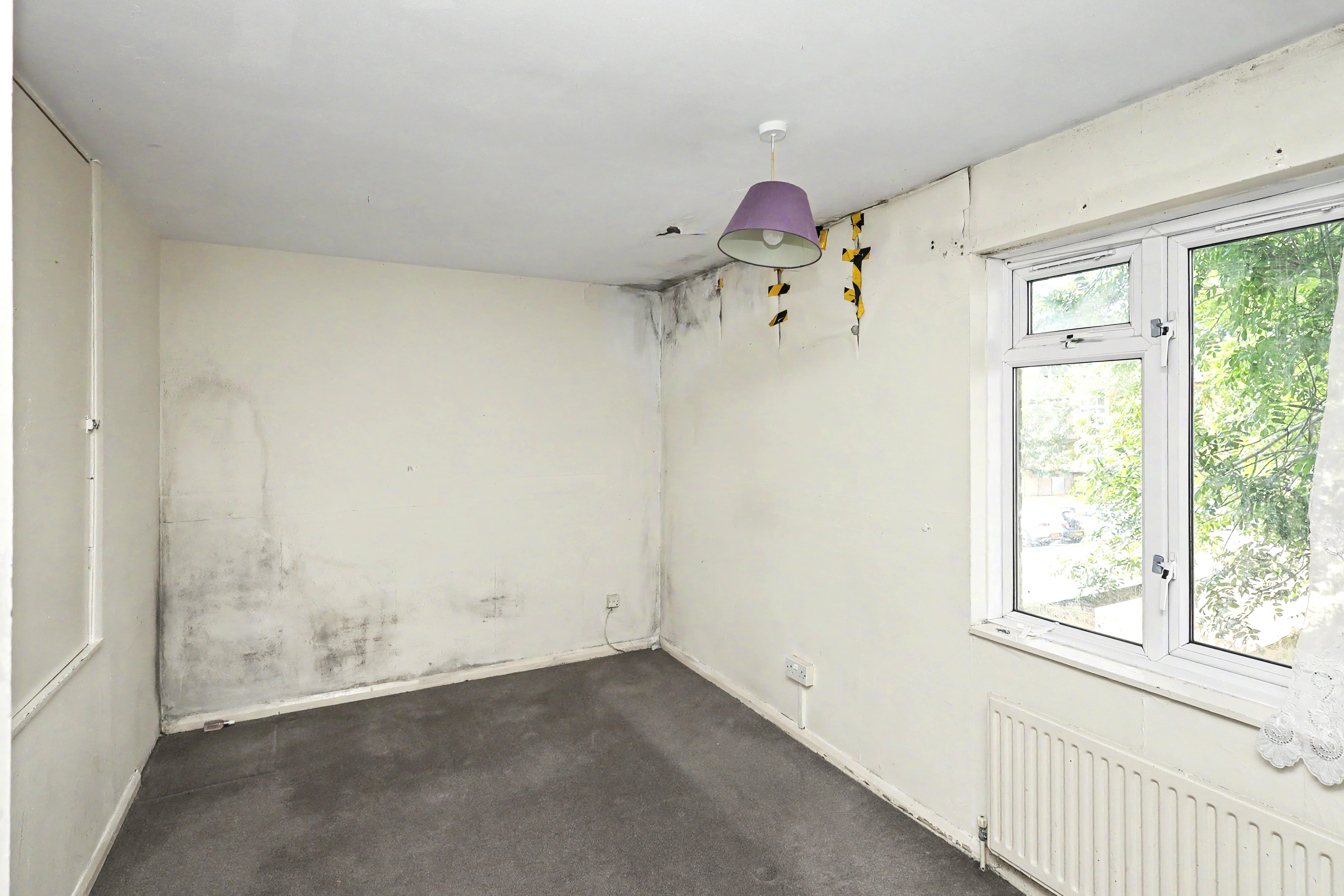 Image 10 of 21