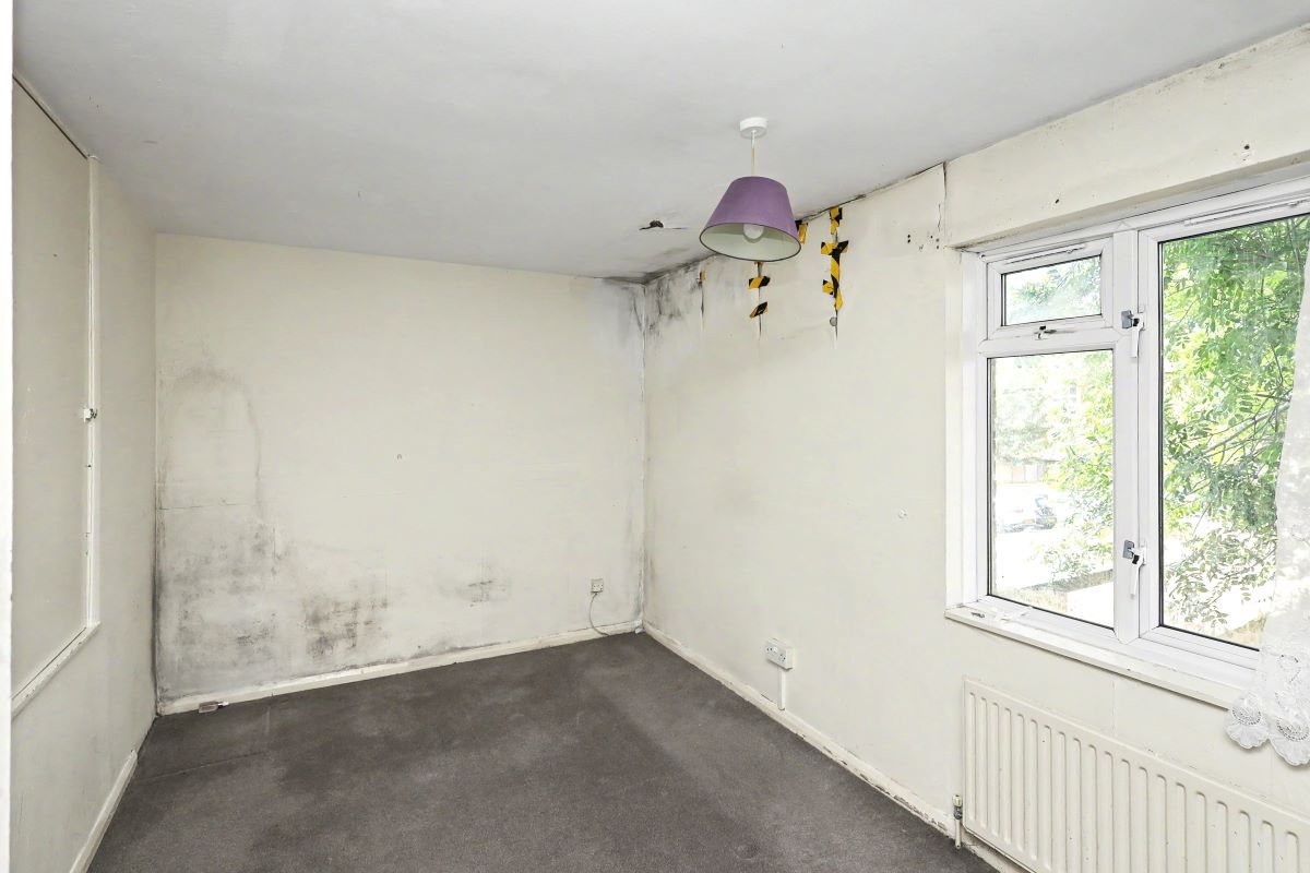 Image 10 of 21