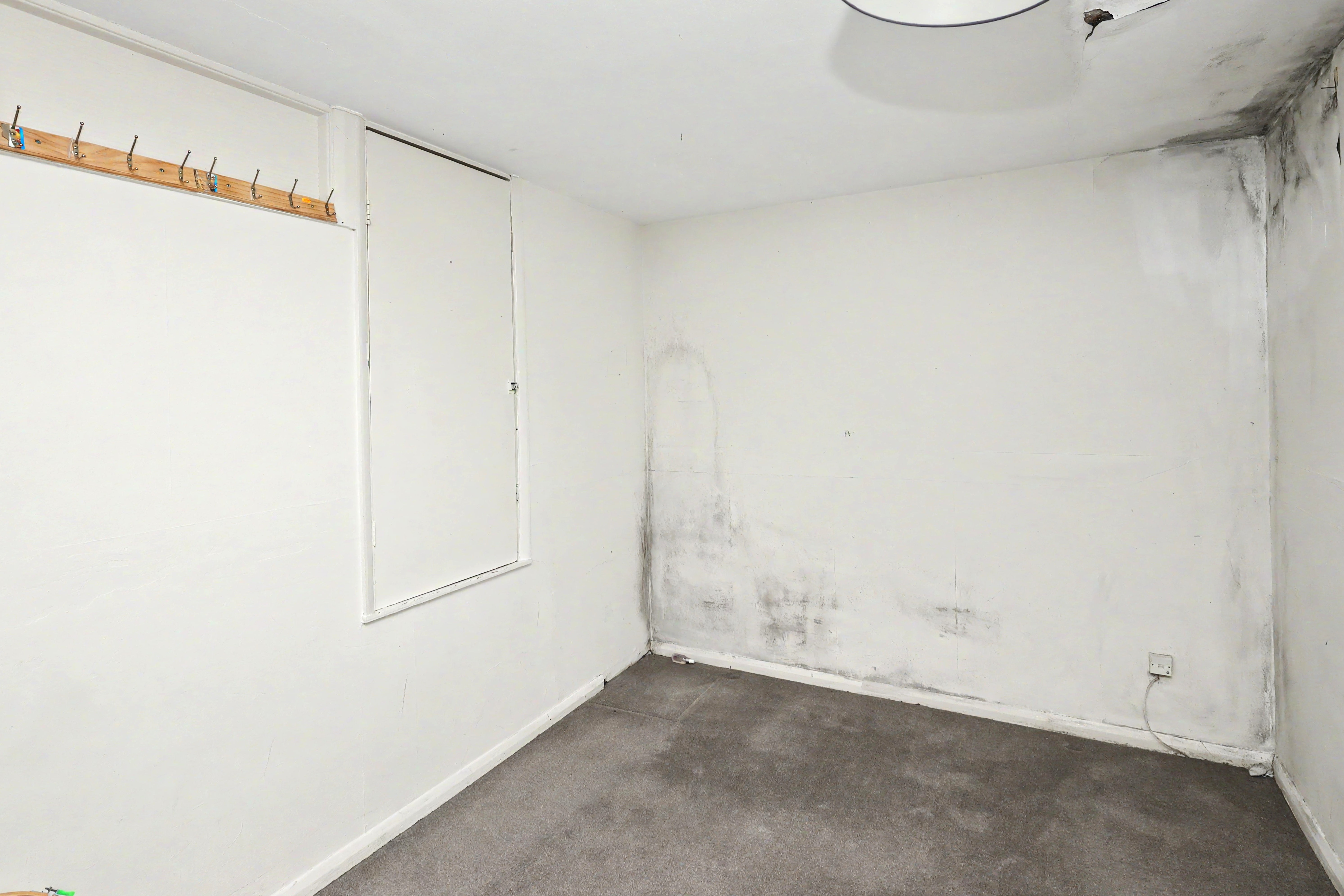 Image 11 of 21