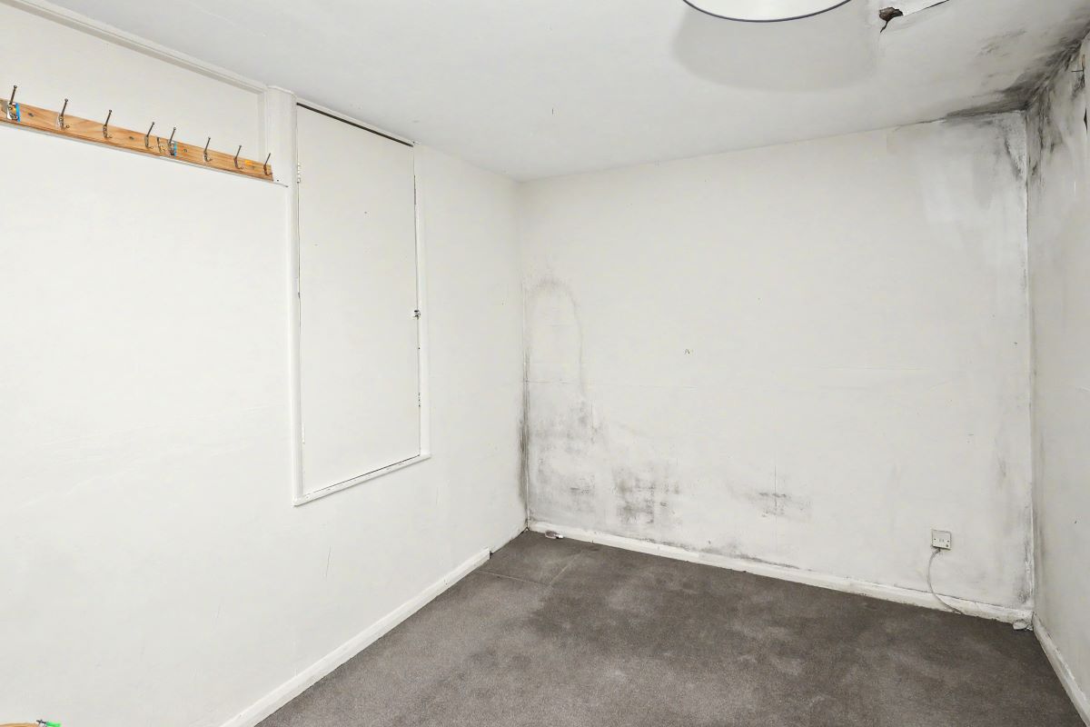 Image 11 of 21