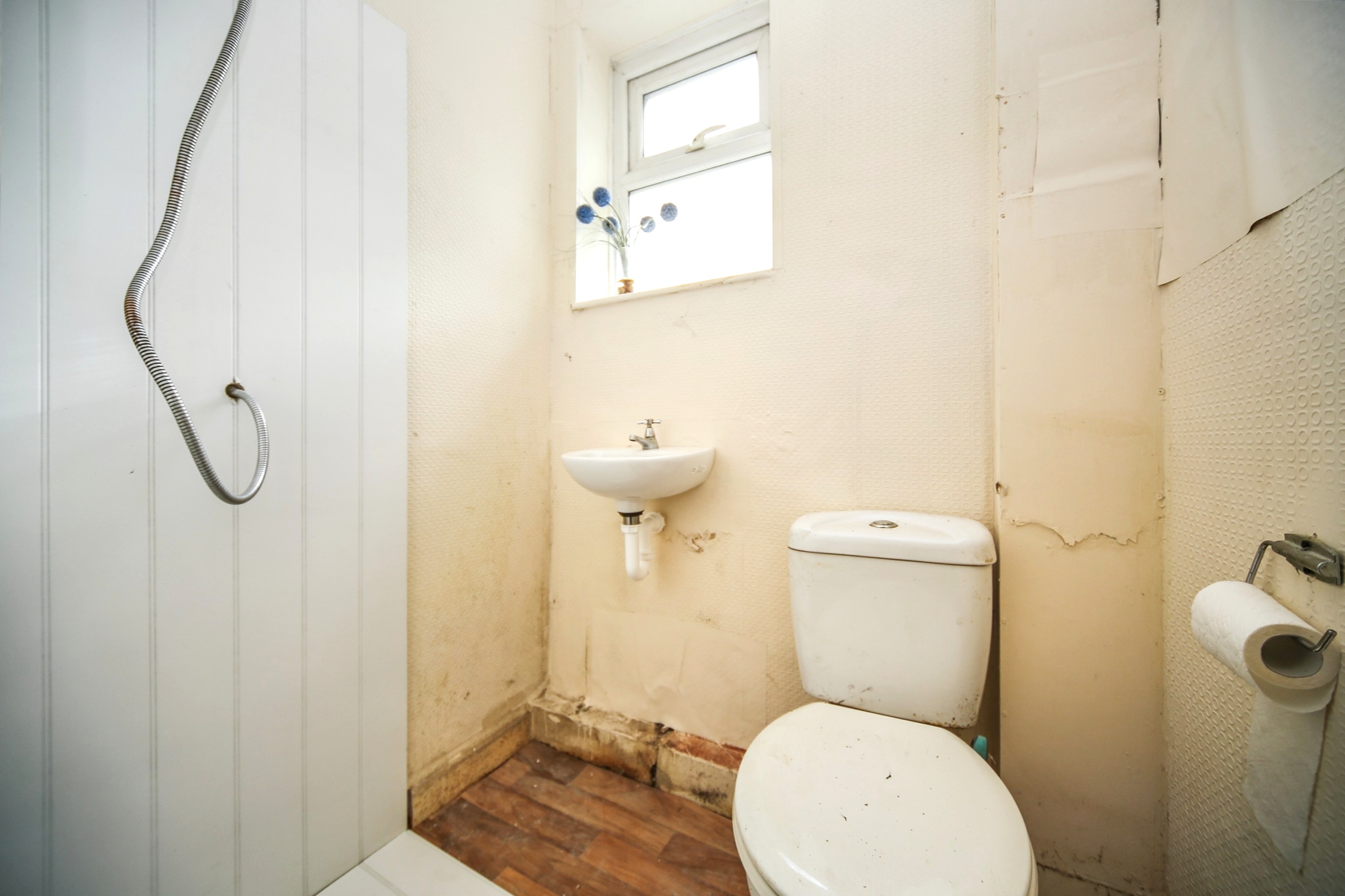 Image 15 of 16