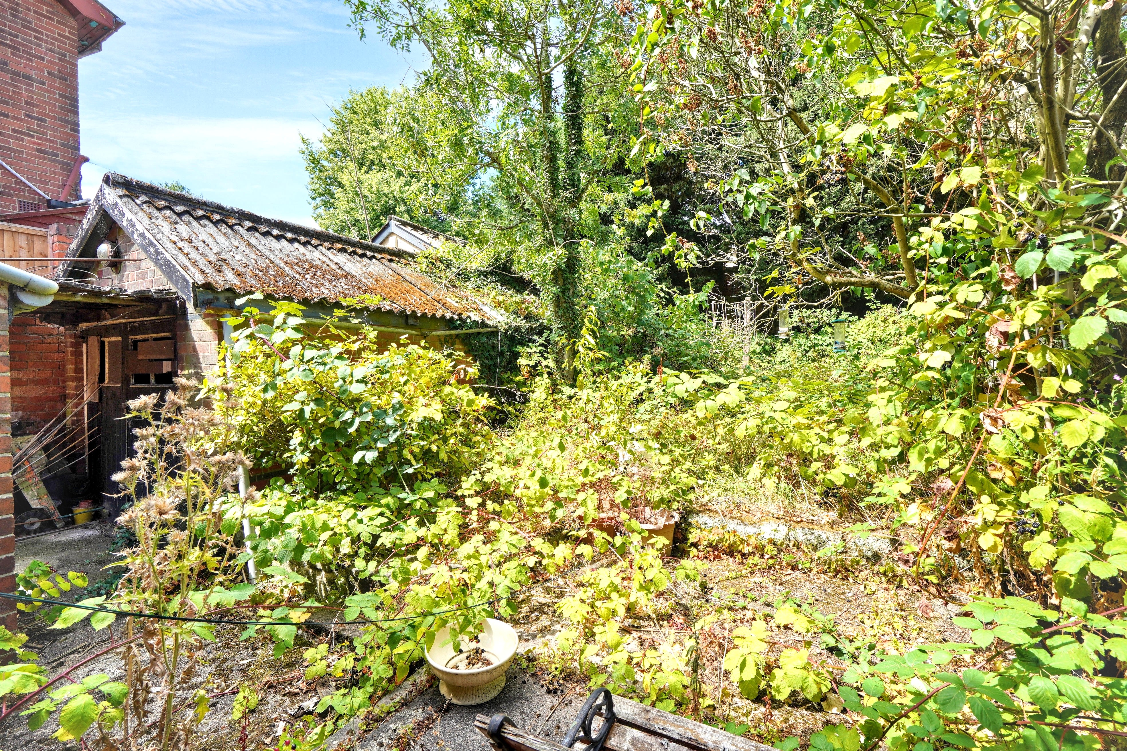 Image 18 of 21