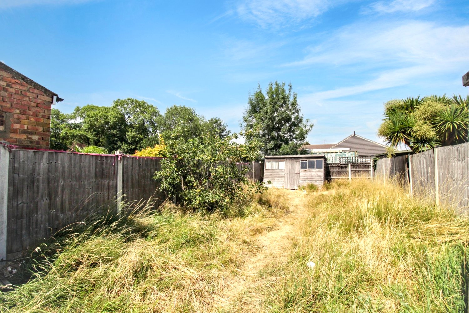 Image 10 of 12
