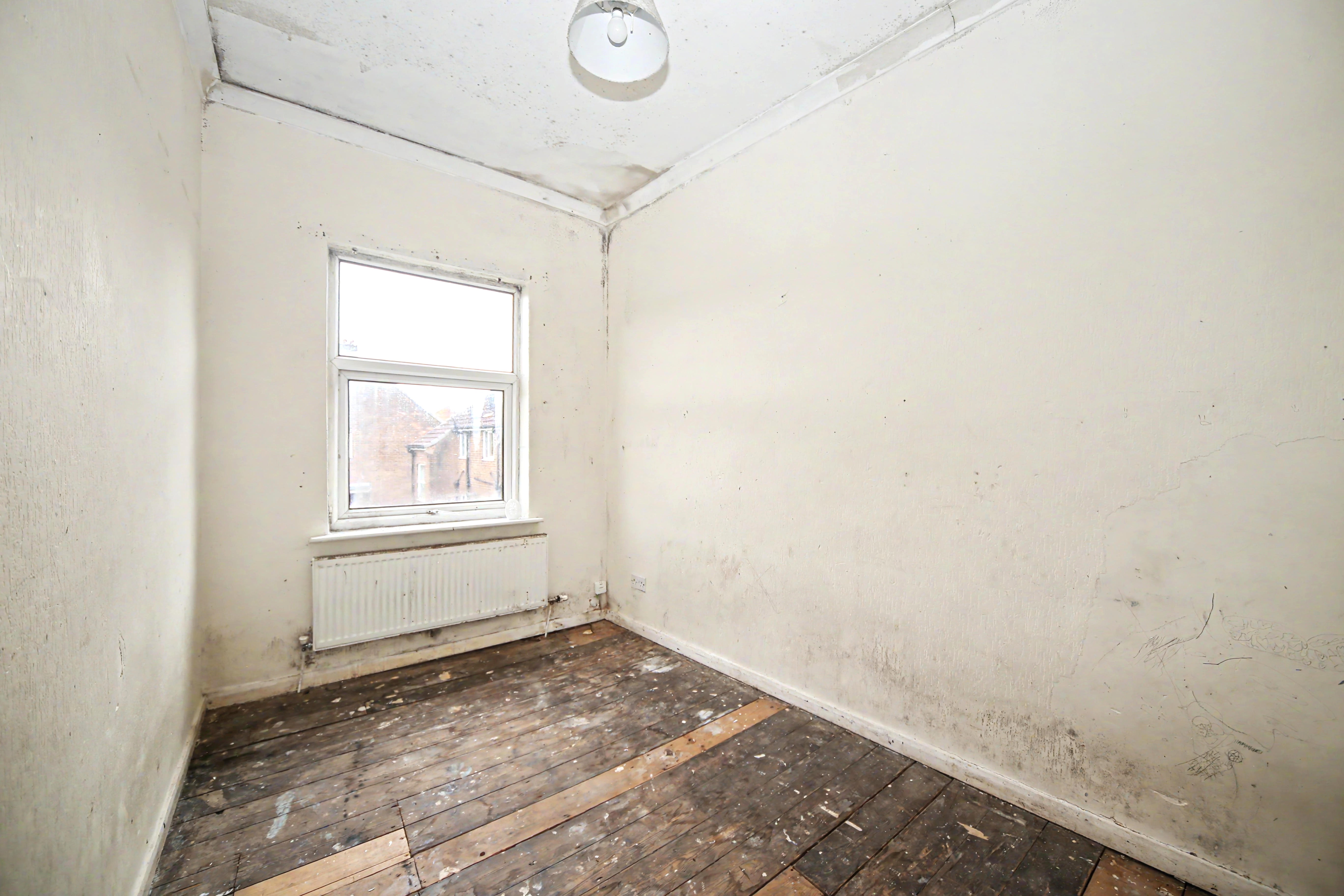 Image 11 of 16