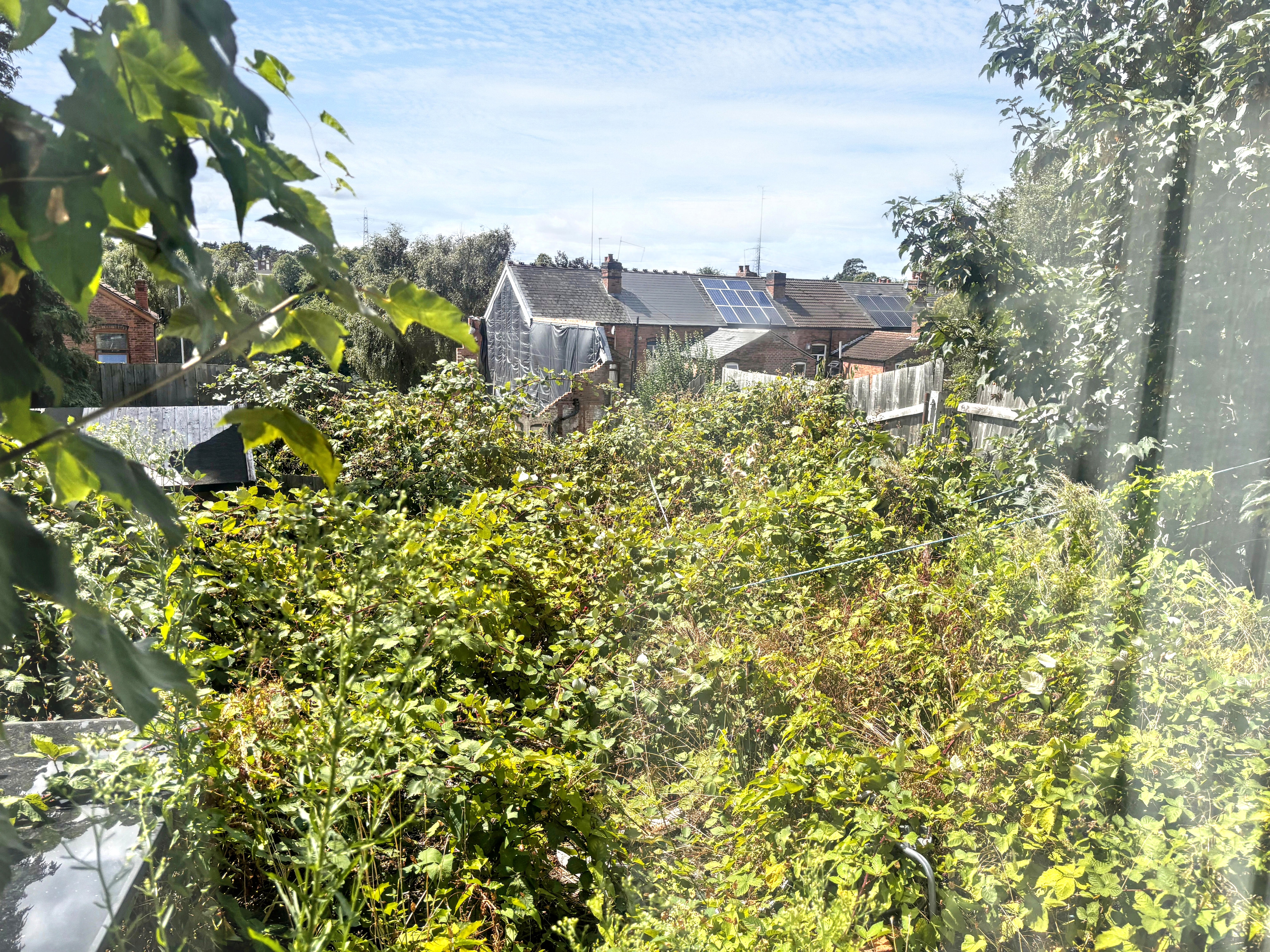Image 12 of 13