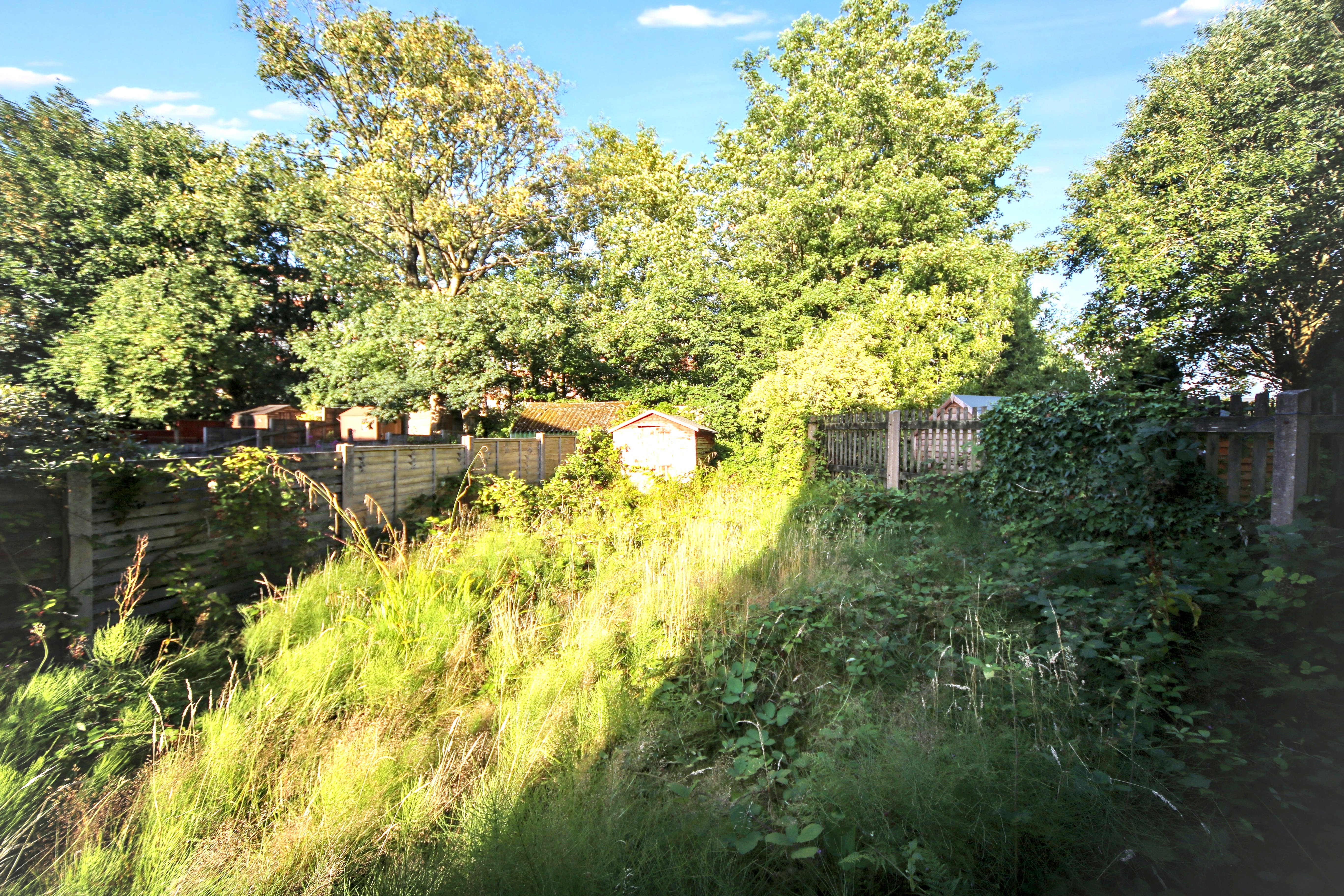 Image 16 of 18