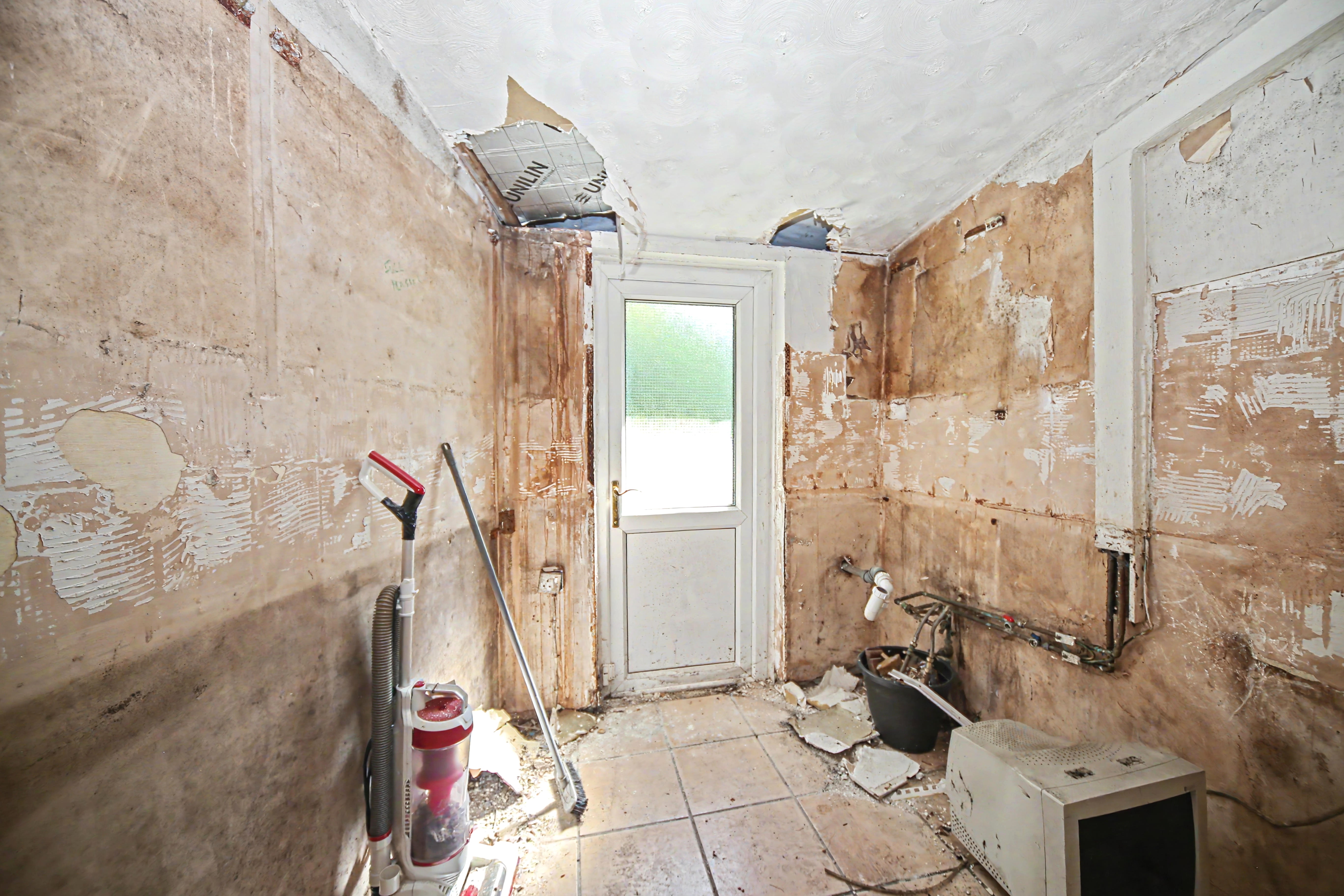 Image 7 of 19