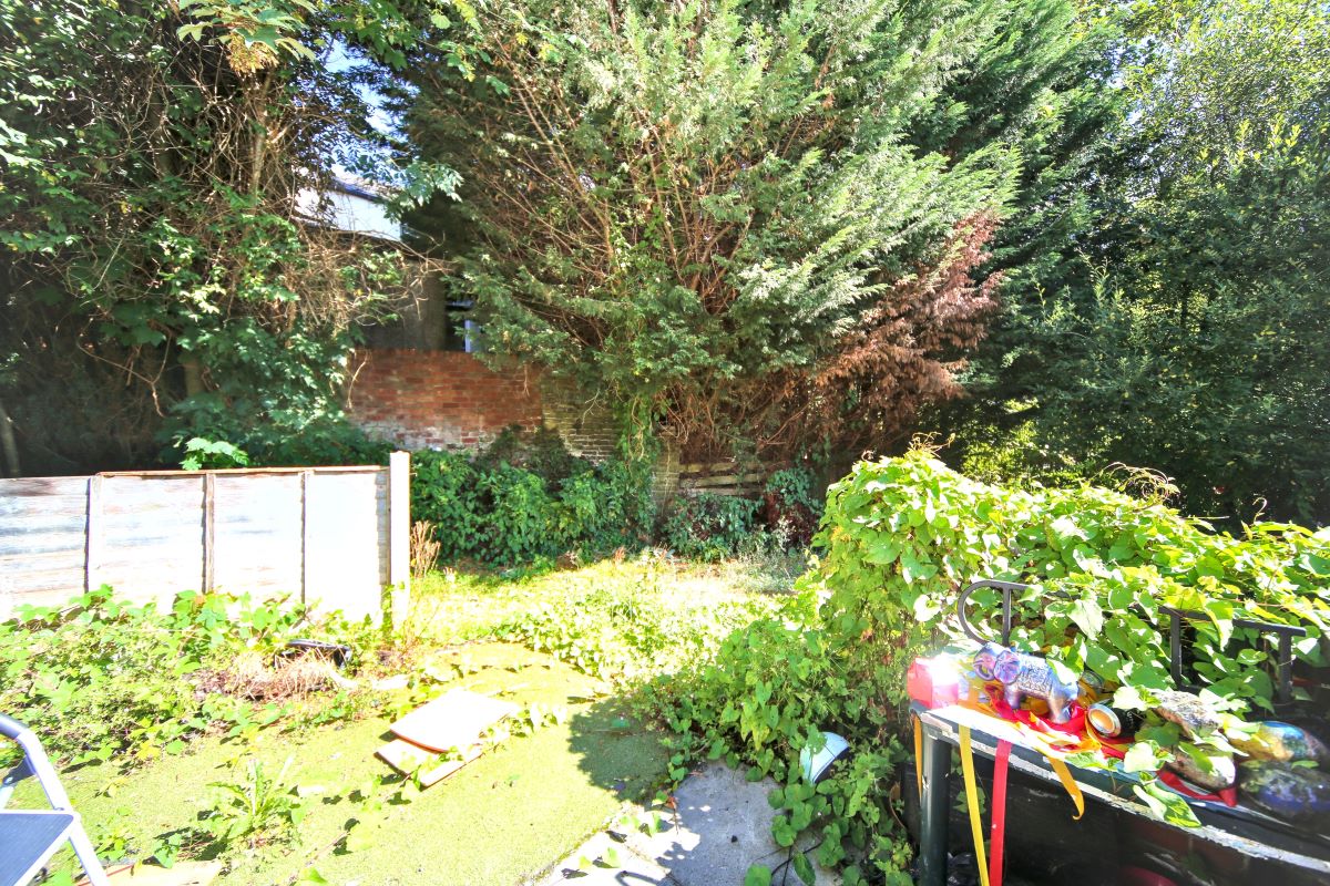 Image 17 of 19