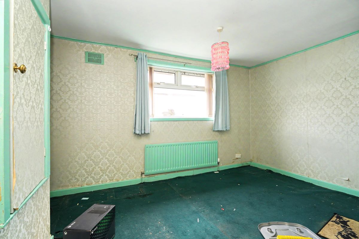 Image 7 of 17