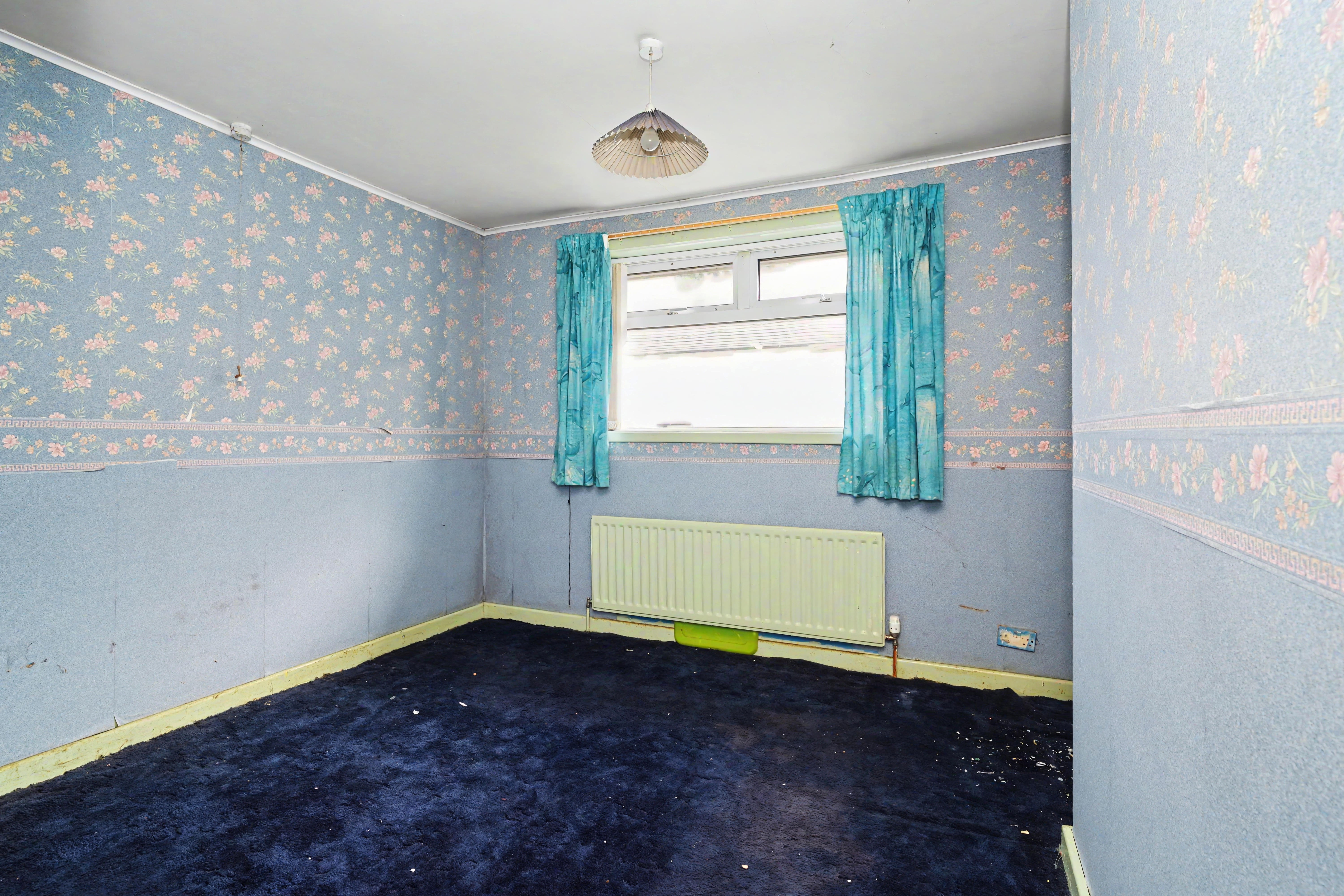 Image 10 of 17