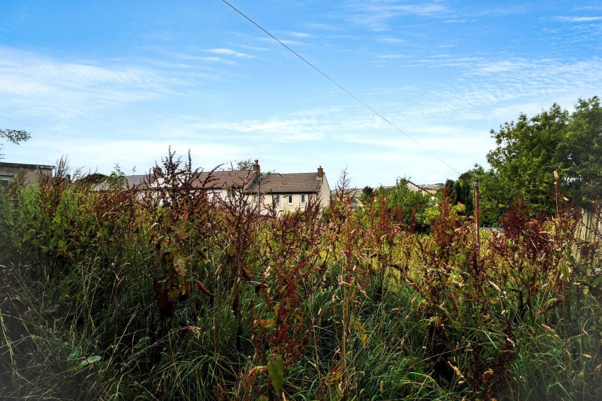 Image 16 of 17