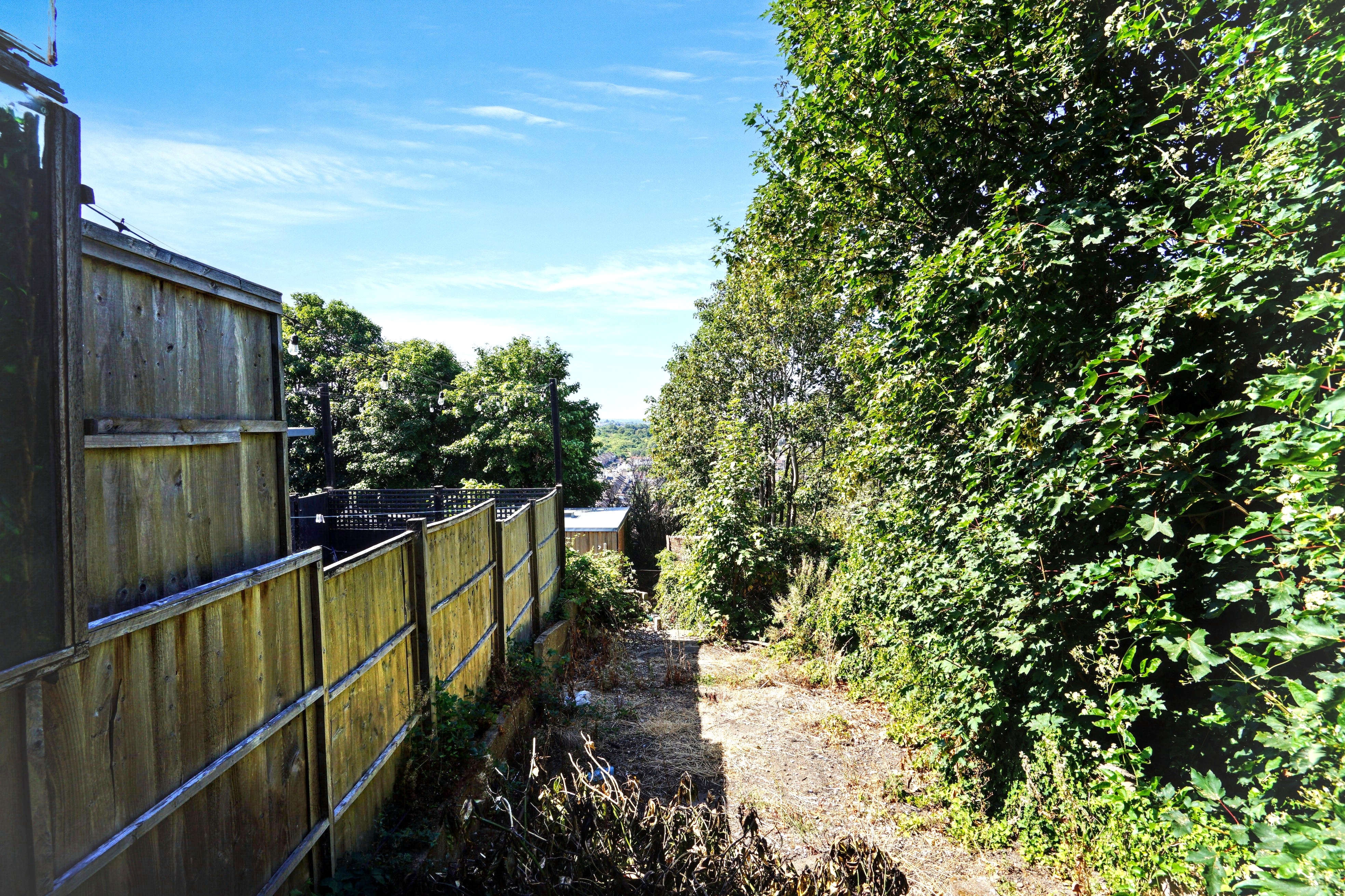 Image 15 of 17