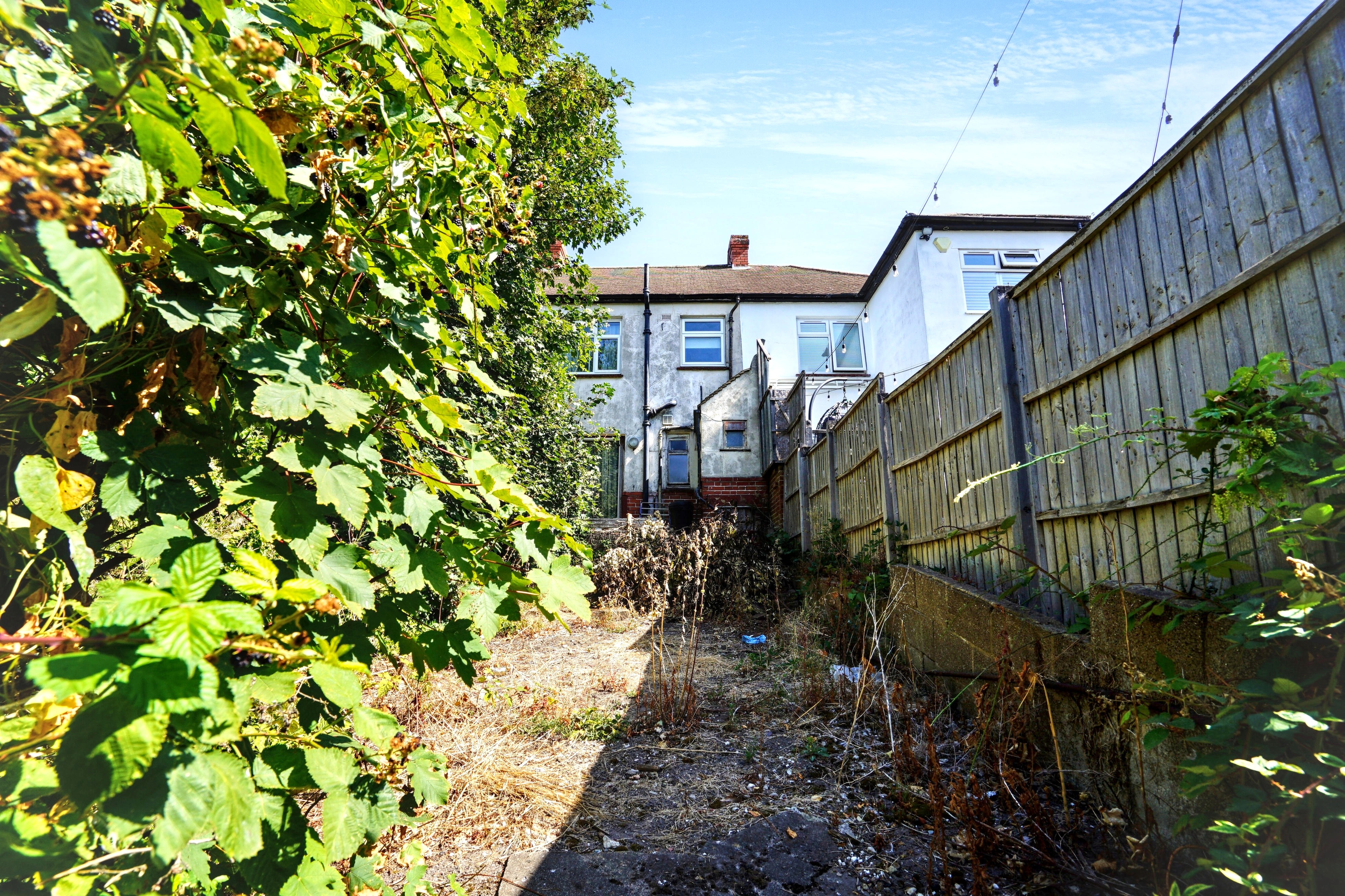 Image 16 of 17