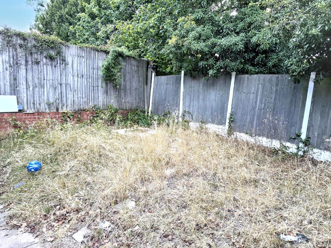 Image 19 of 20