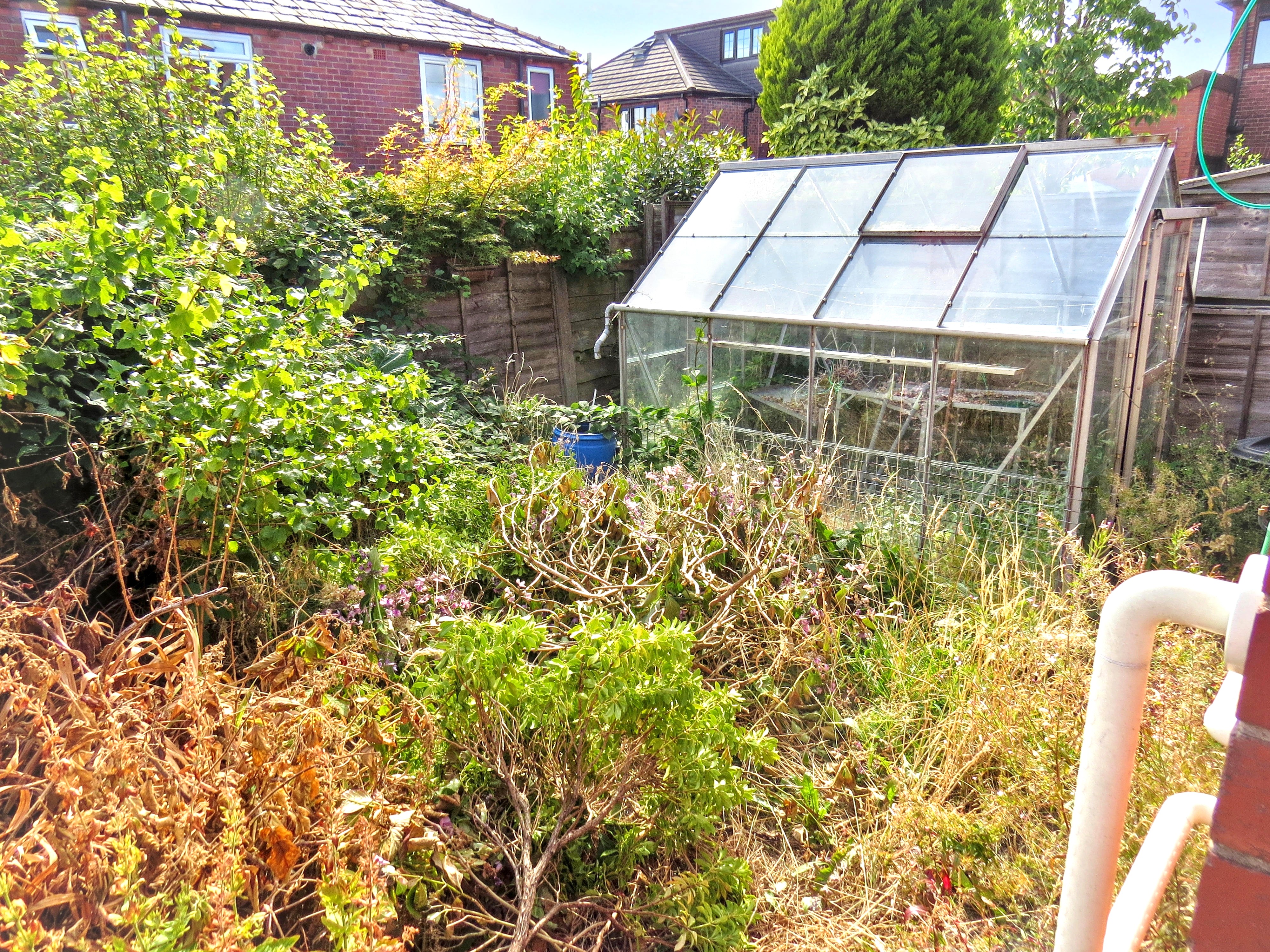 Image 14 of 15