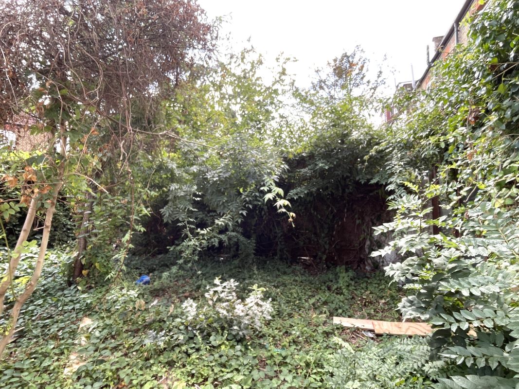 Image 11 of 12