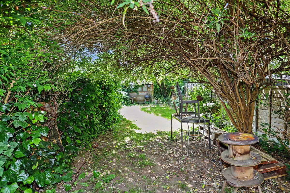 Image 22 of 24
