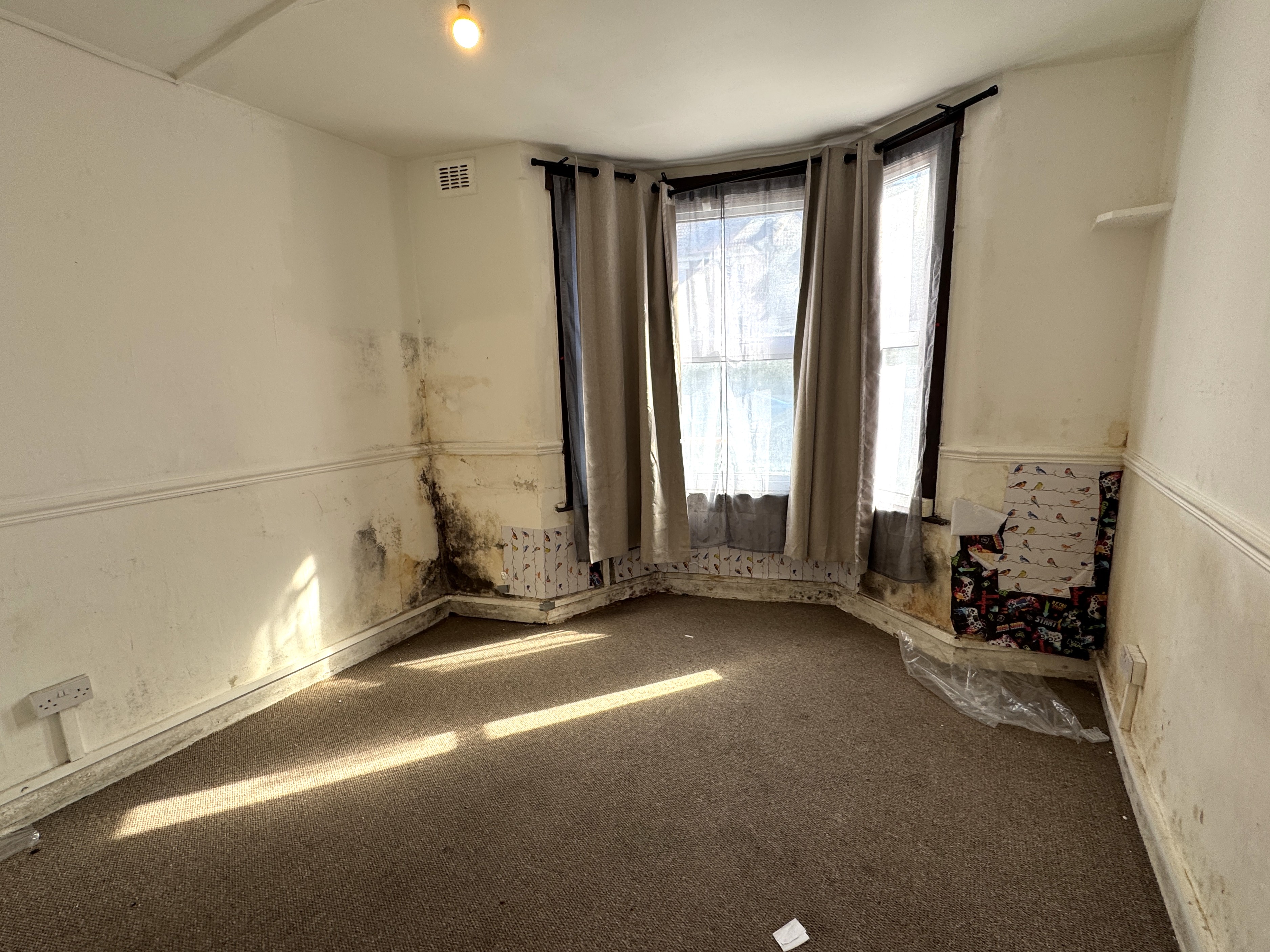 Image 2 of 16