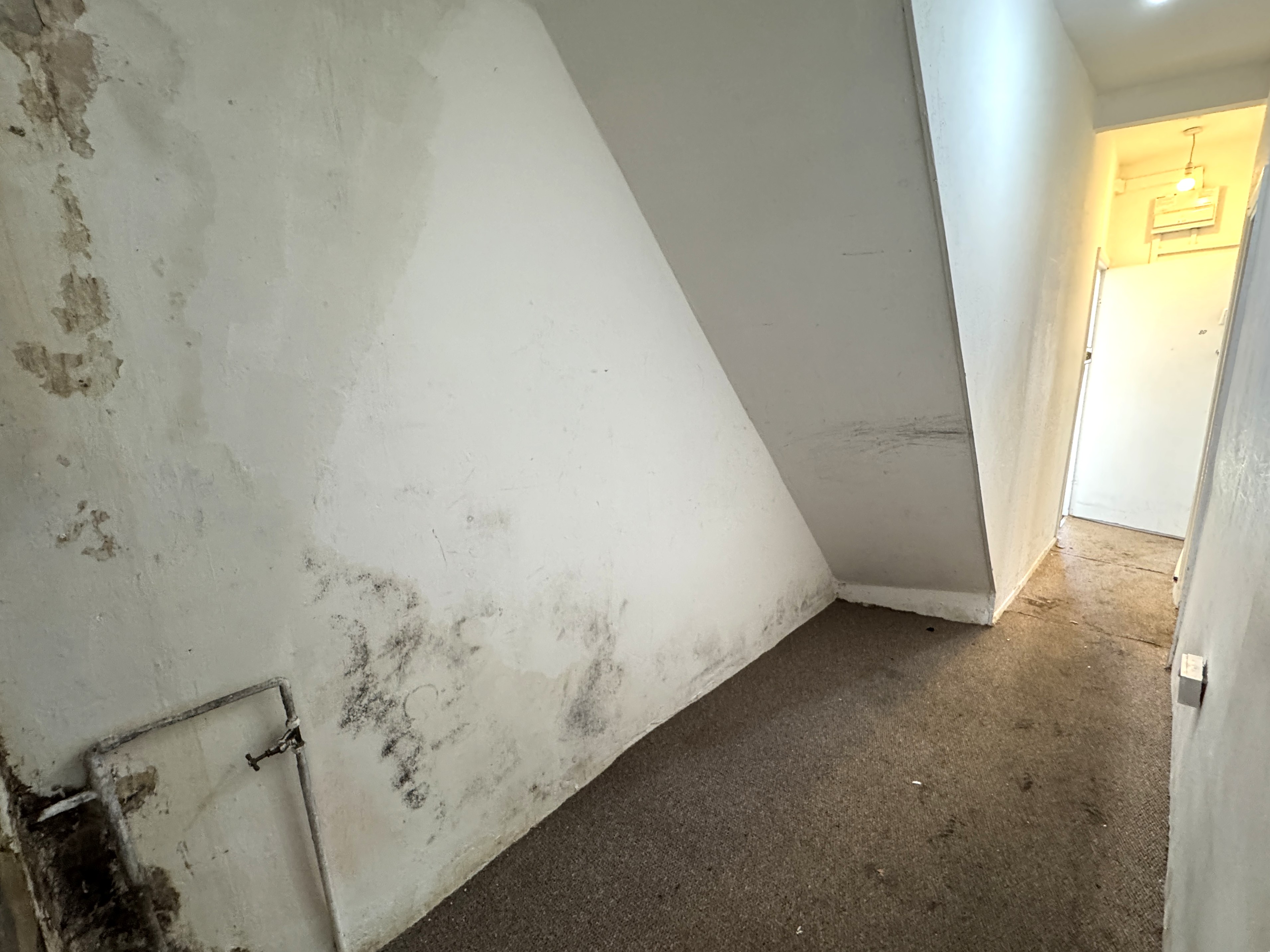 Image 14 of 16