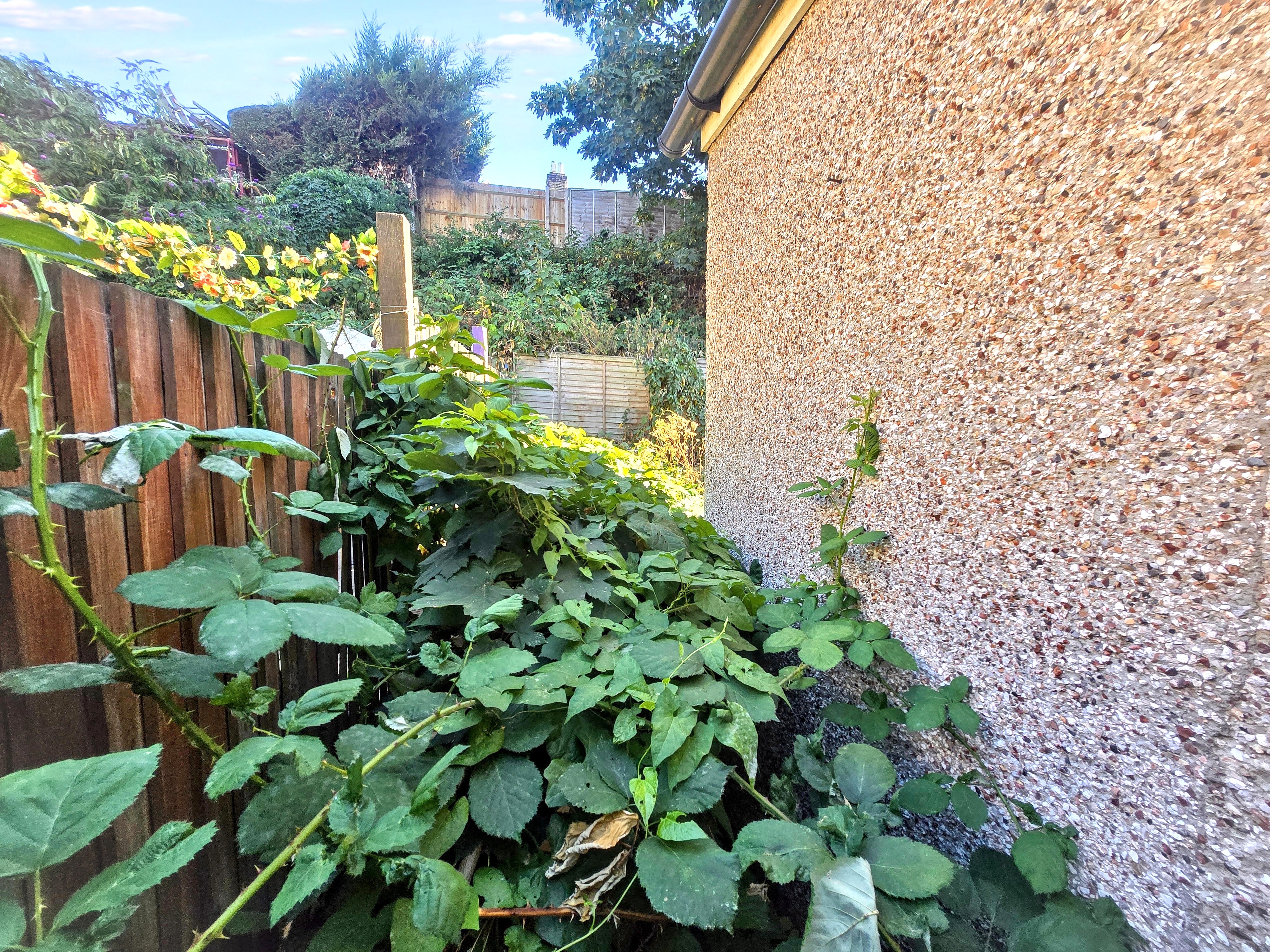 Image 14 of 14