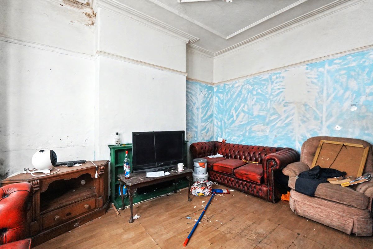 Image 2 of 12