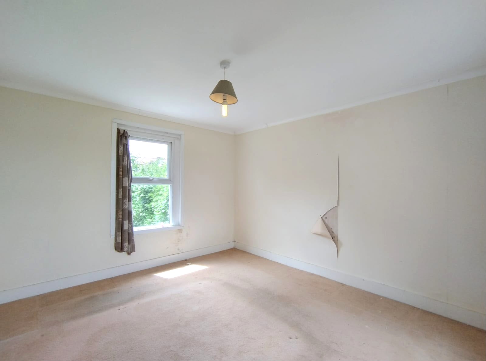 Image 10 of 21