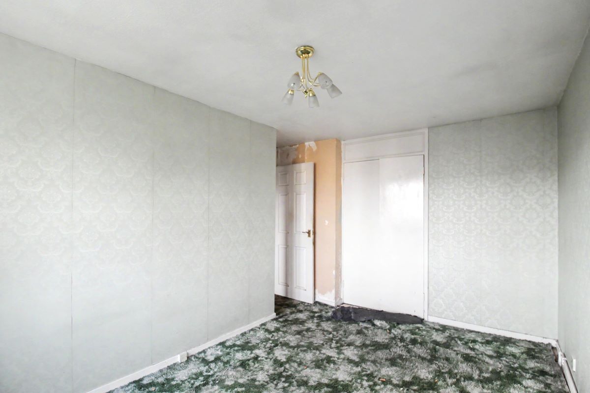Image 11 of 15