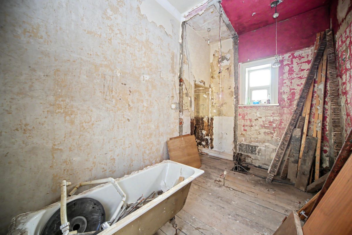 Image 12 of 25
