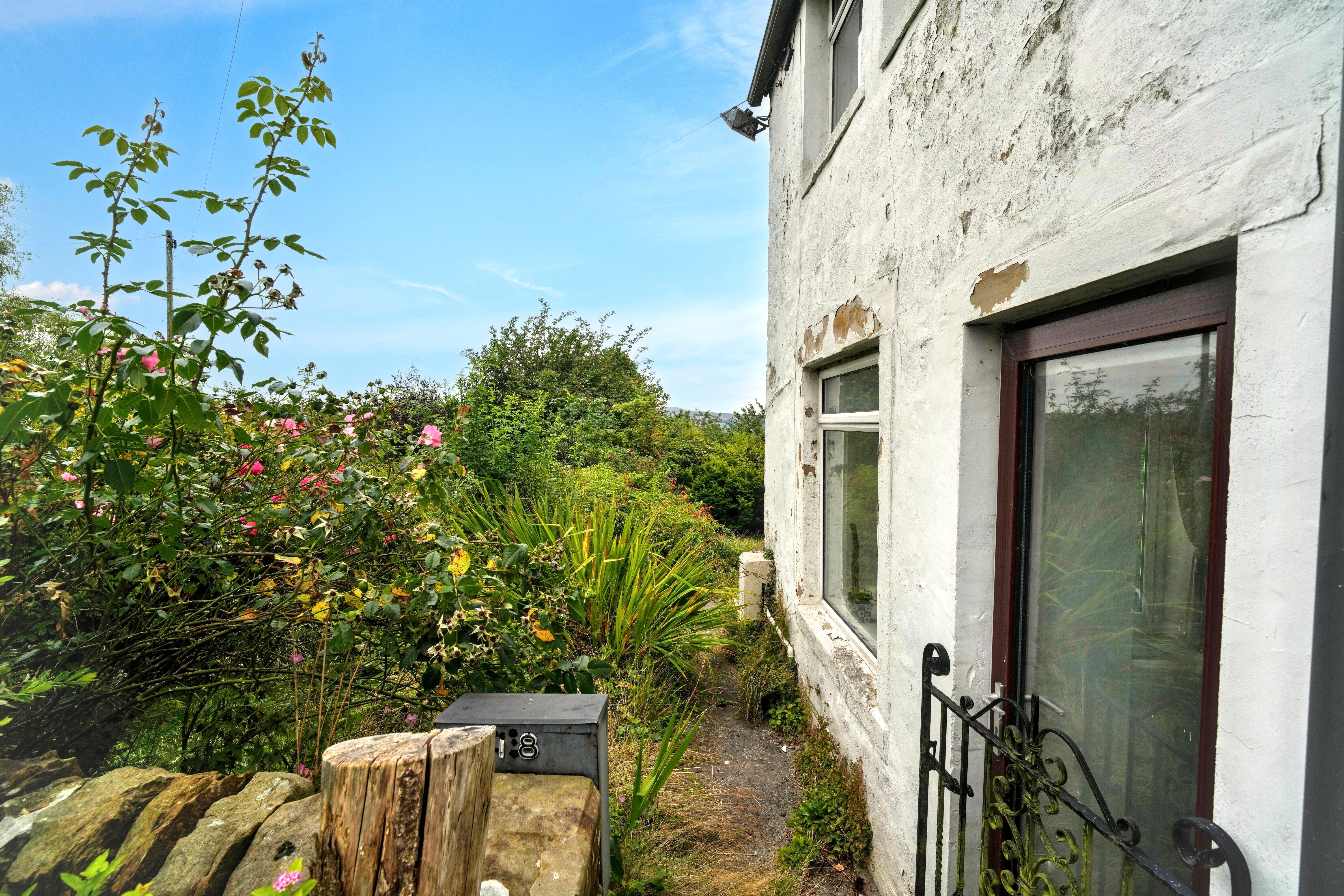 Image 15 of 16