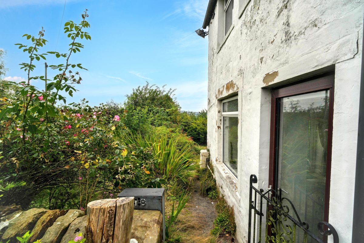 Image 15 of 16