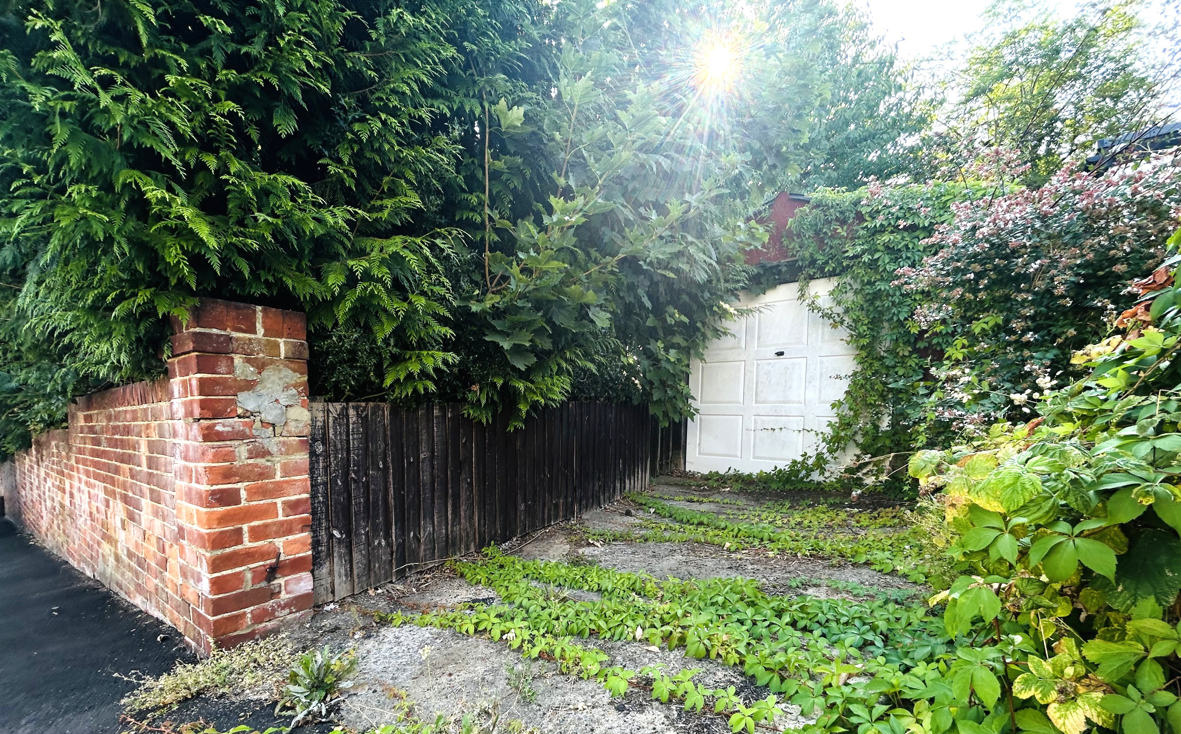 Image 18 of 21