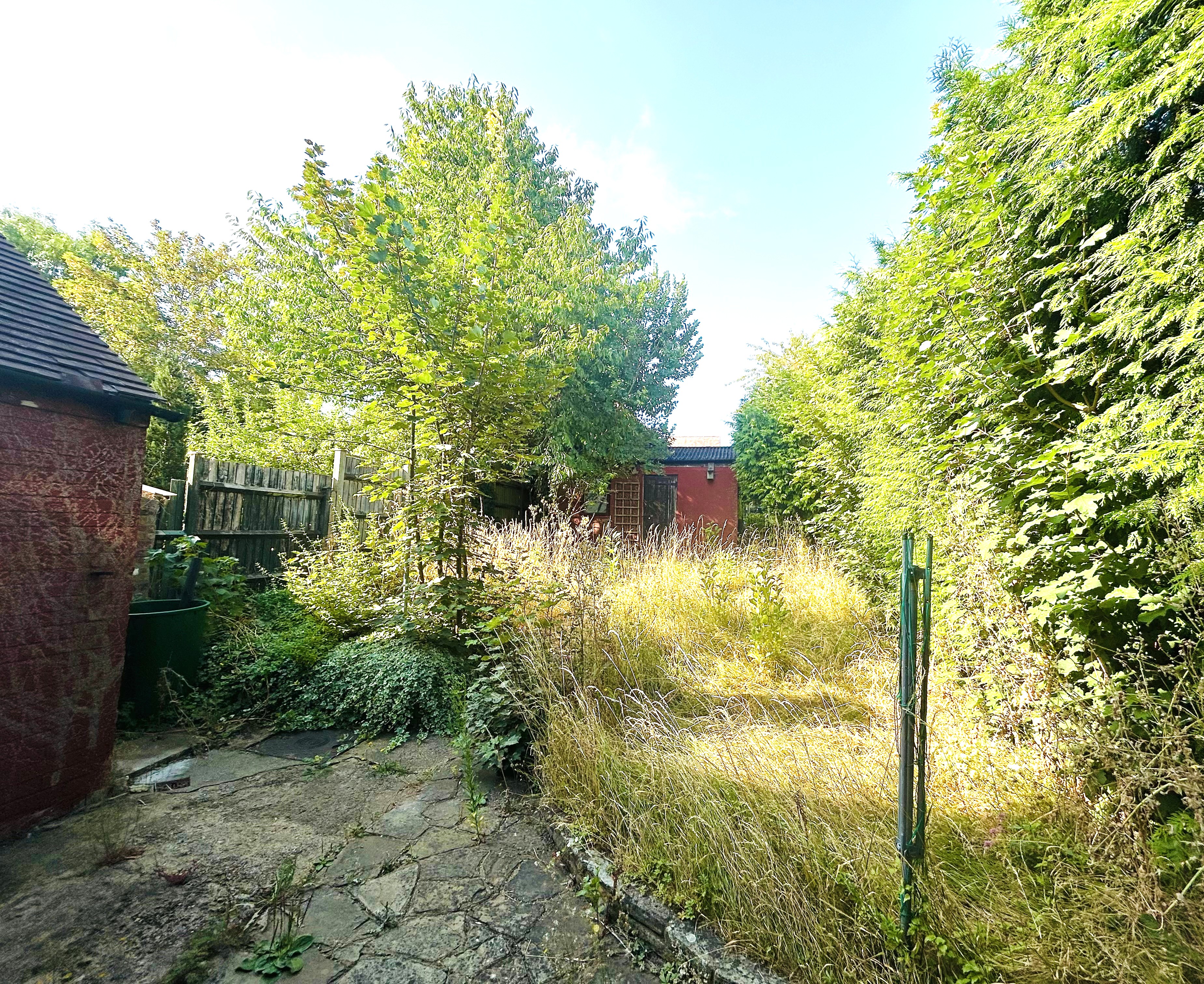 Image 17 of 21