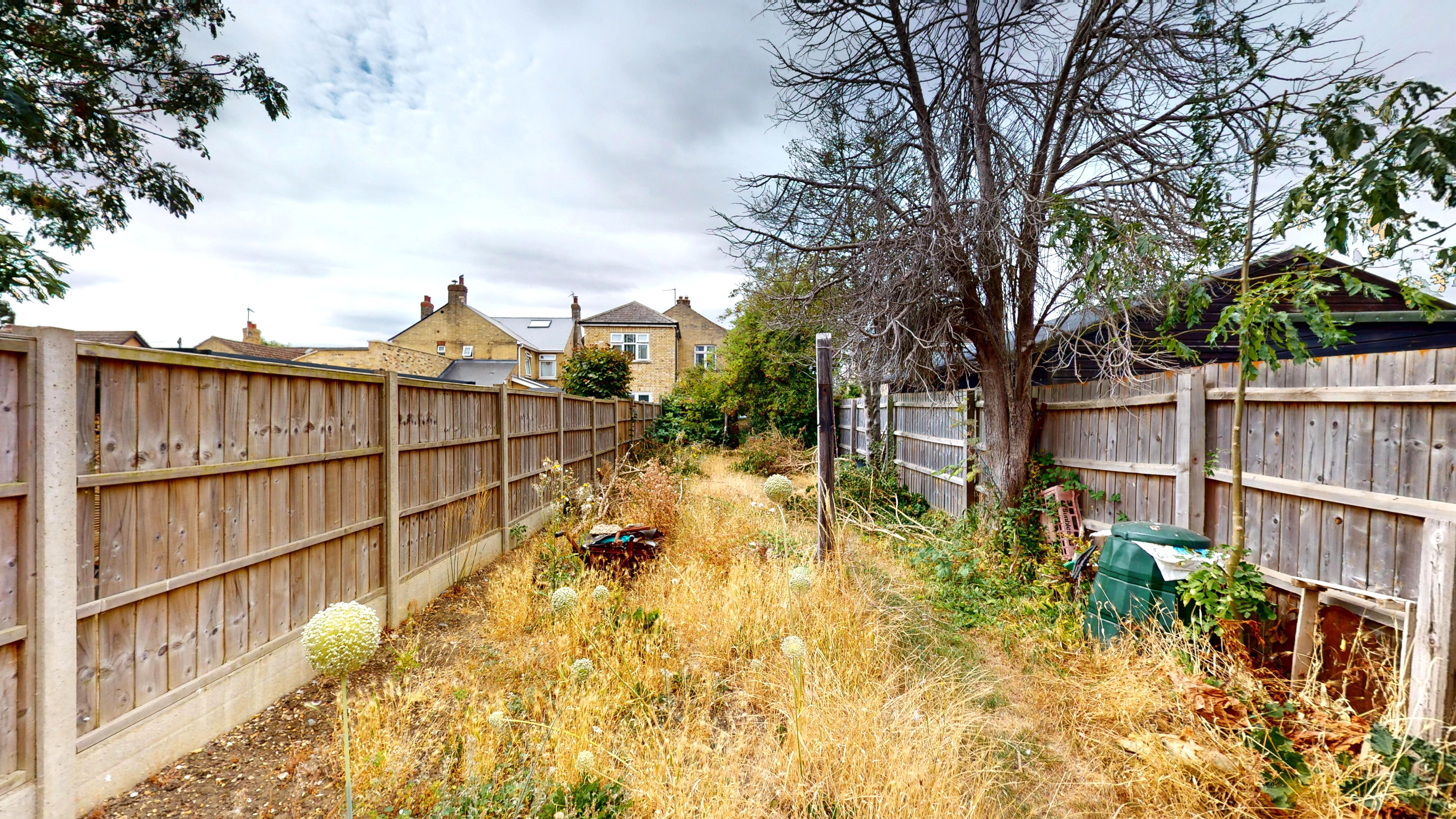 Image 11 of 11